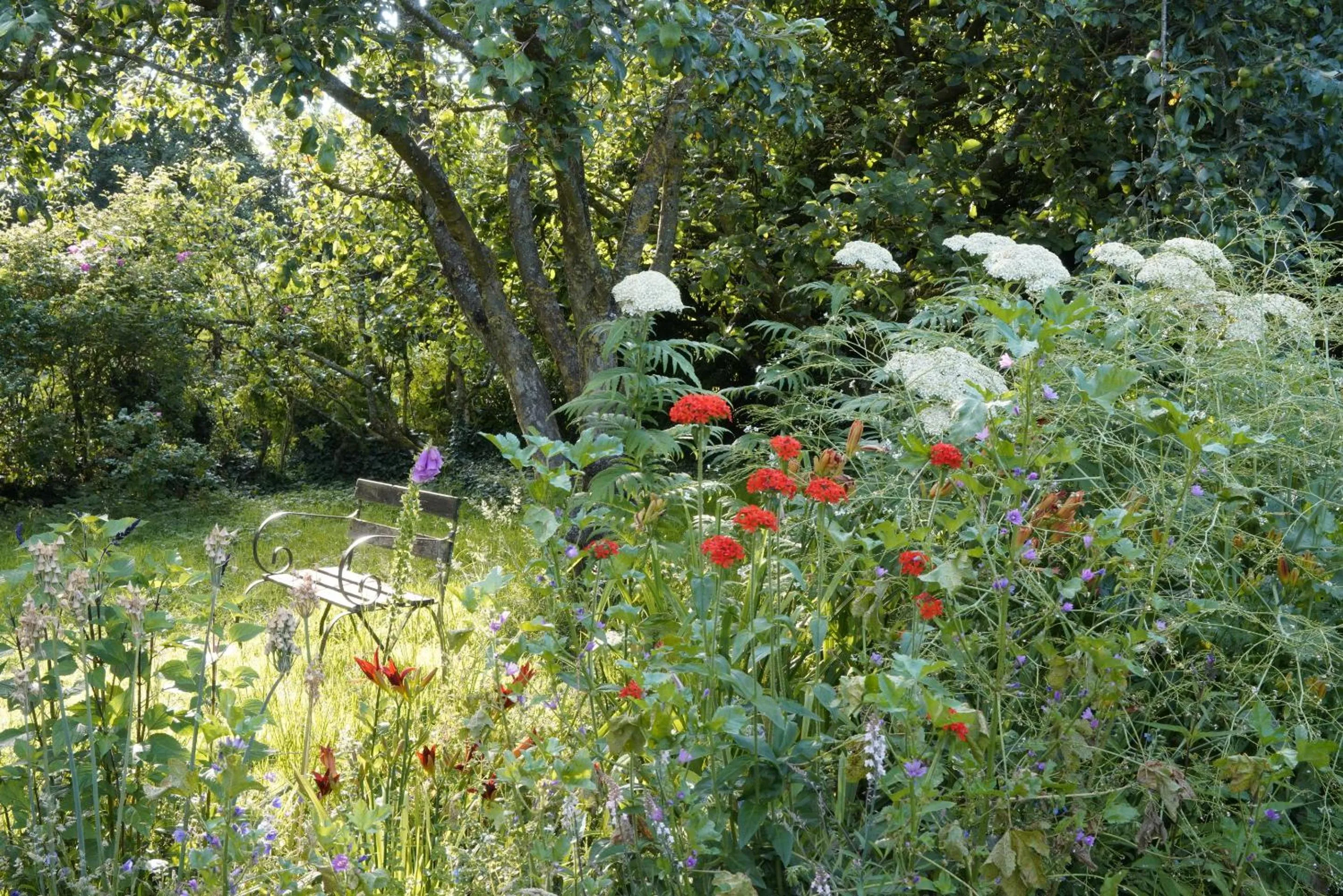 Garden in Lower Severalls Farmhouse