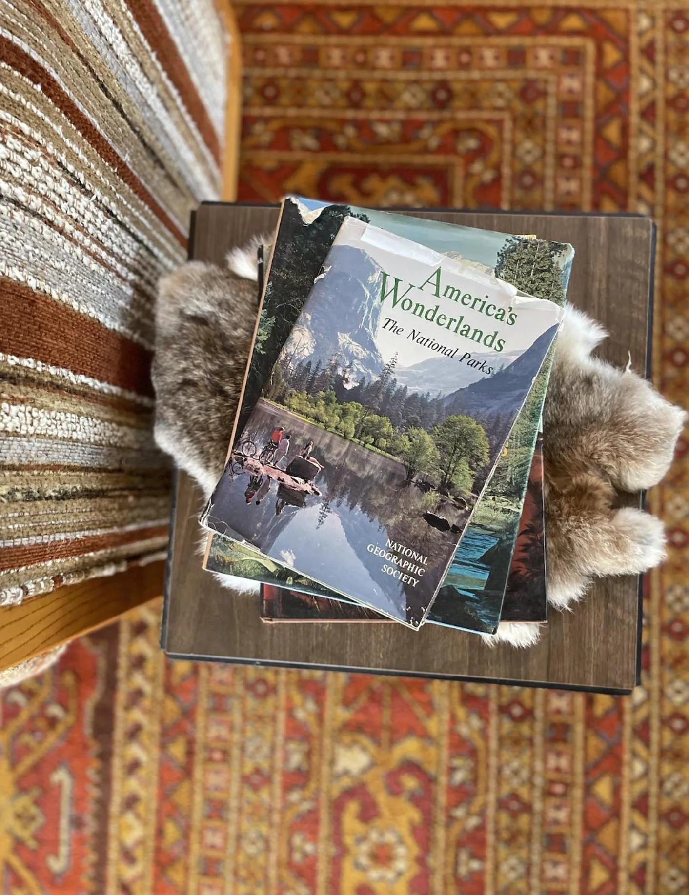 Lounge or bar in Mellow Moon Lodge