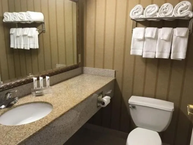 One-Bedroom King Suite in Country Inn & Suites by Radisson, Potomac Mills Woodbridge, VA