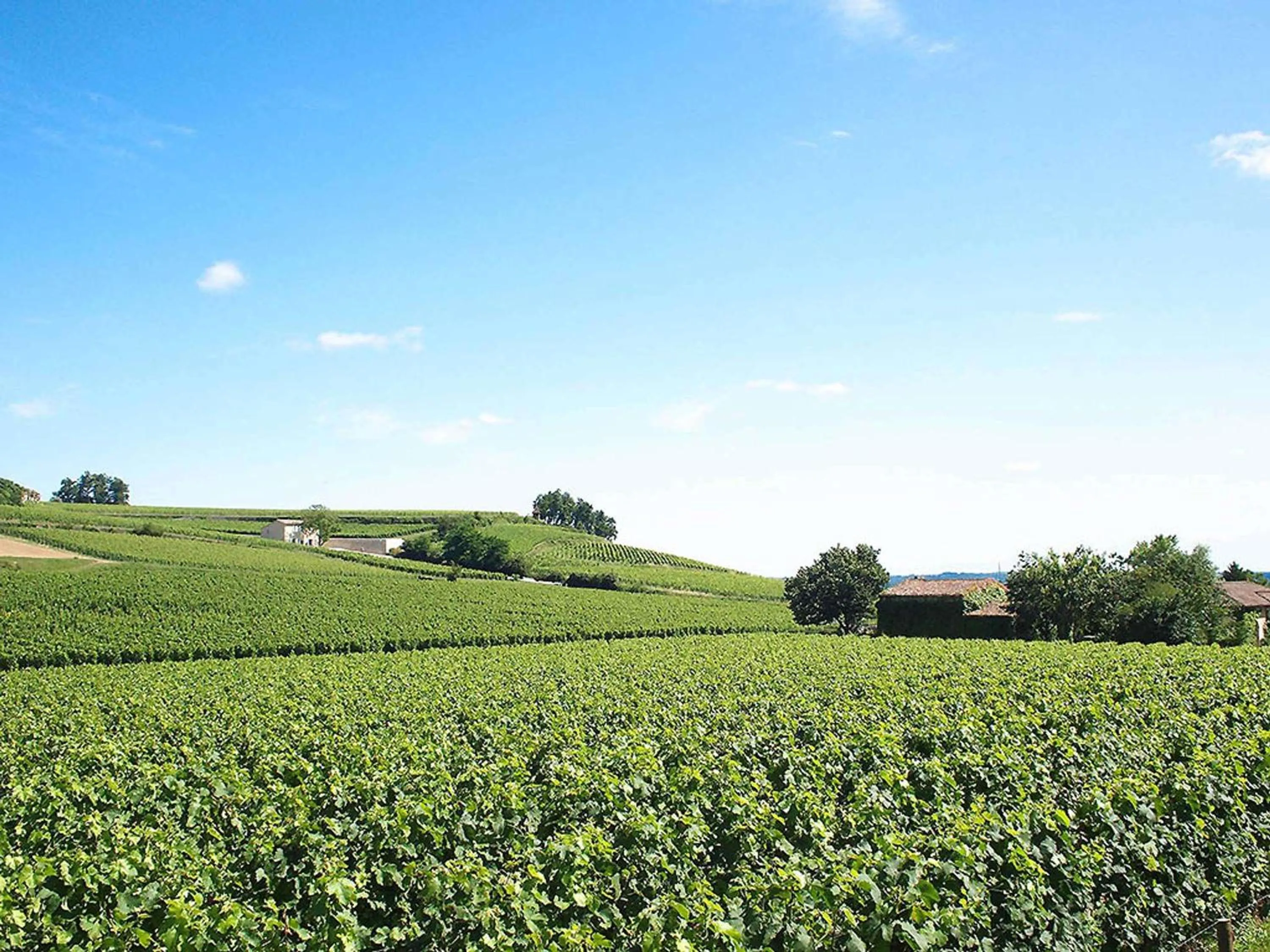 Property building in ibis Bordeaux Saint Emilion