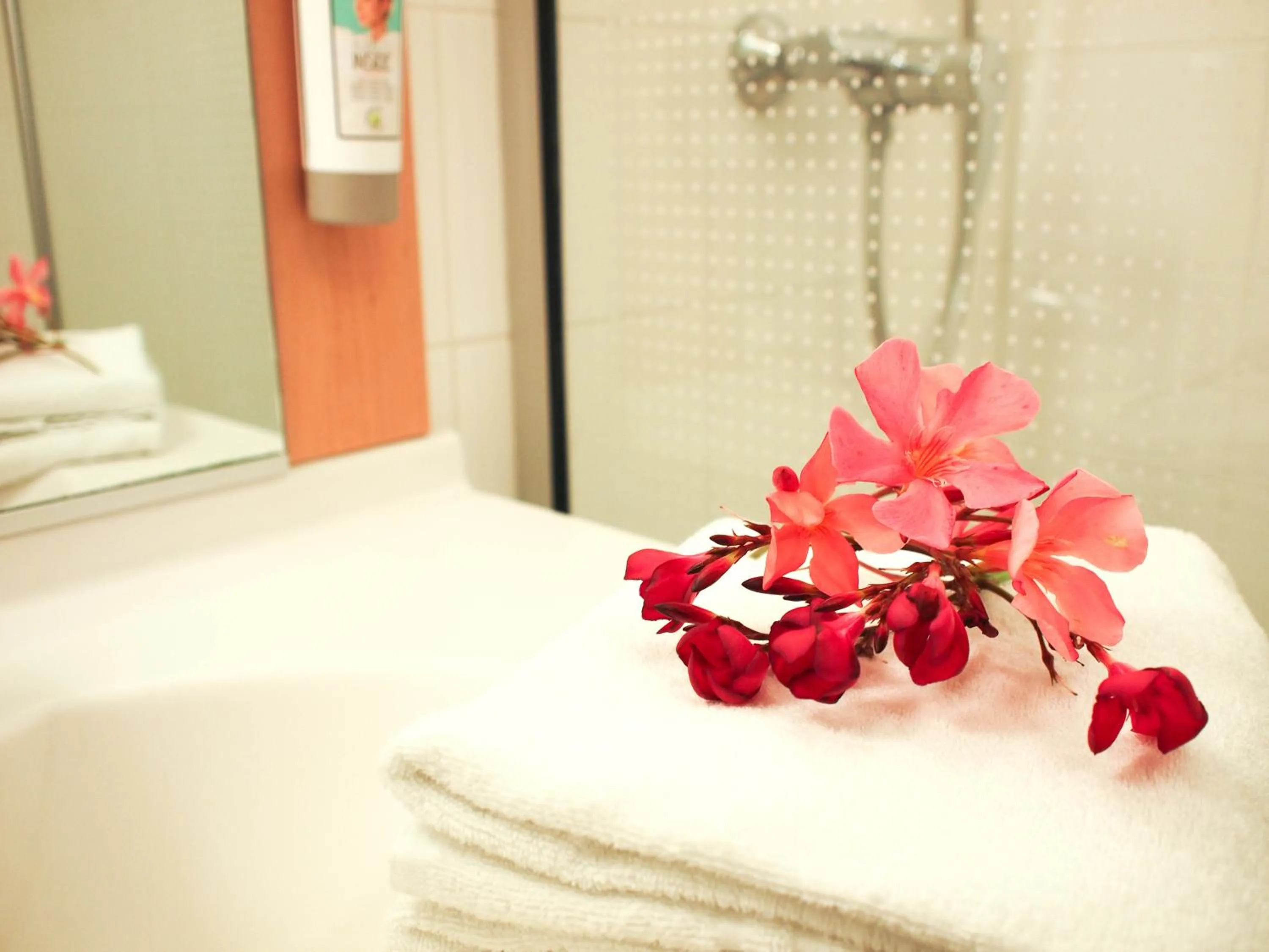 Bathroom in ibis Bordeaux Saint Emilion