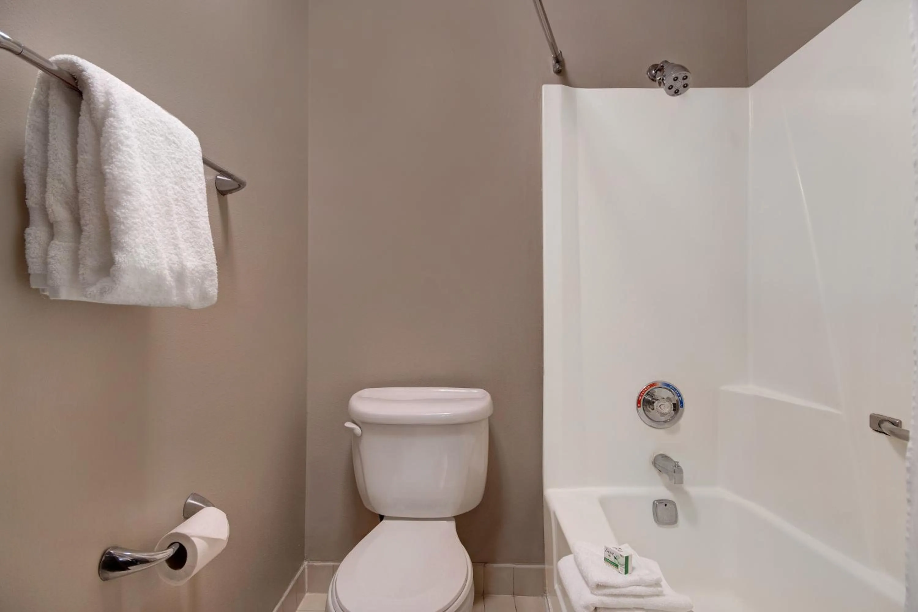 Bathroom in Baymont by Wyndham Detroit Airport/Romulus