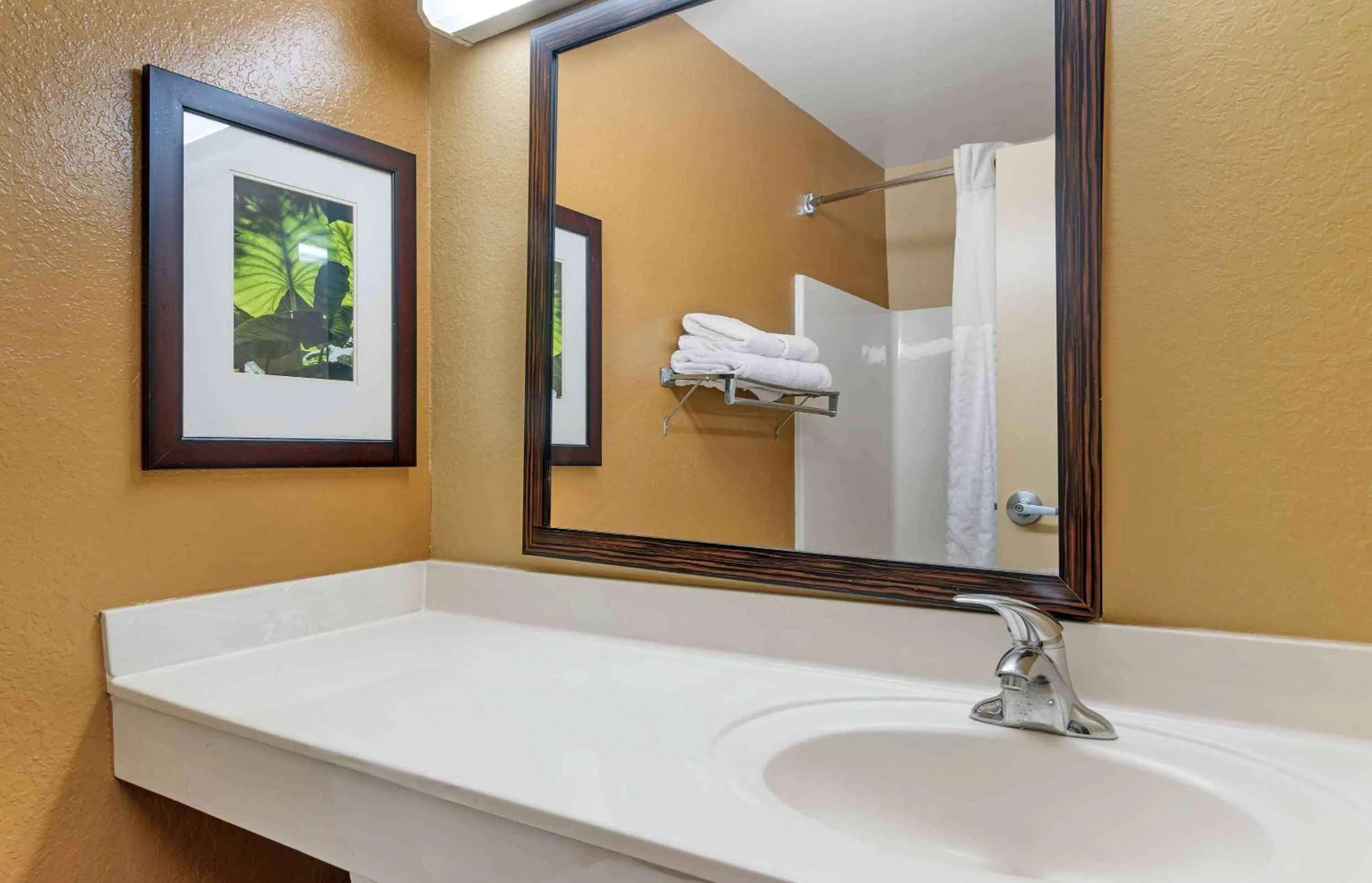 Bathroom in Extended Stay America Select Suites - Tampa - North - USF - Attractions
