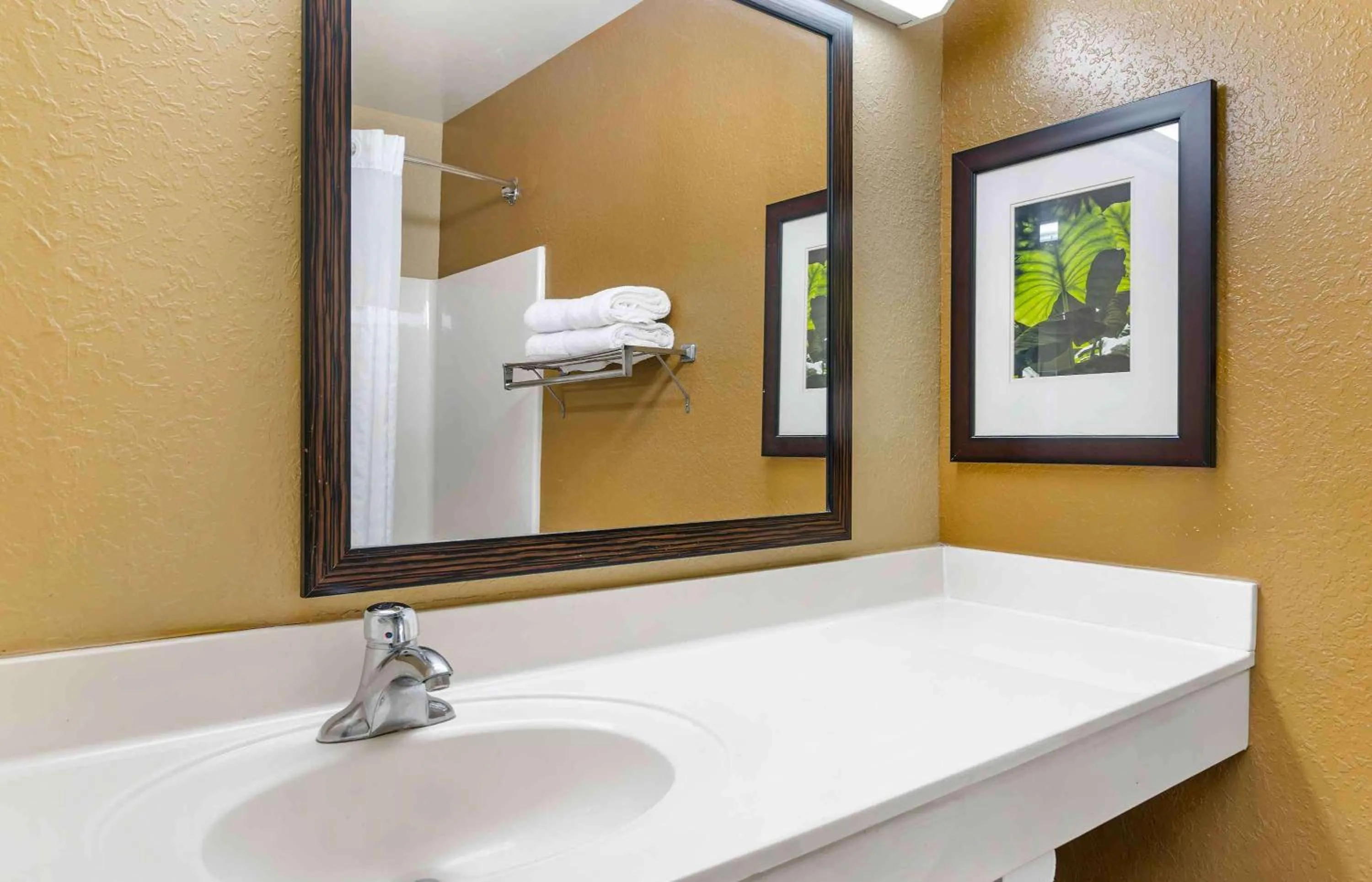 Bathroom in Extended Stay America Select Suites - Tampa - North - USF - Attractions