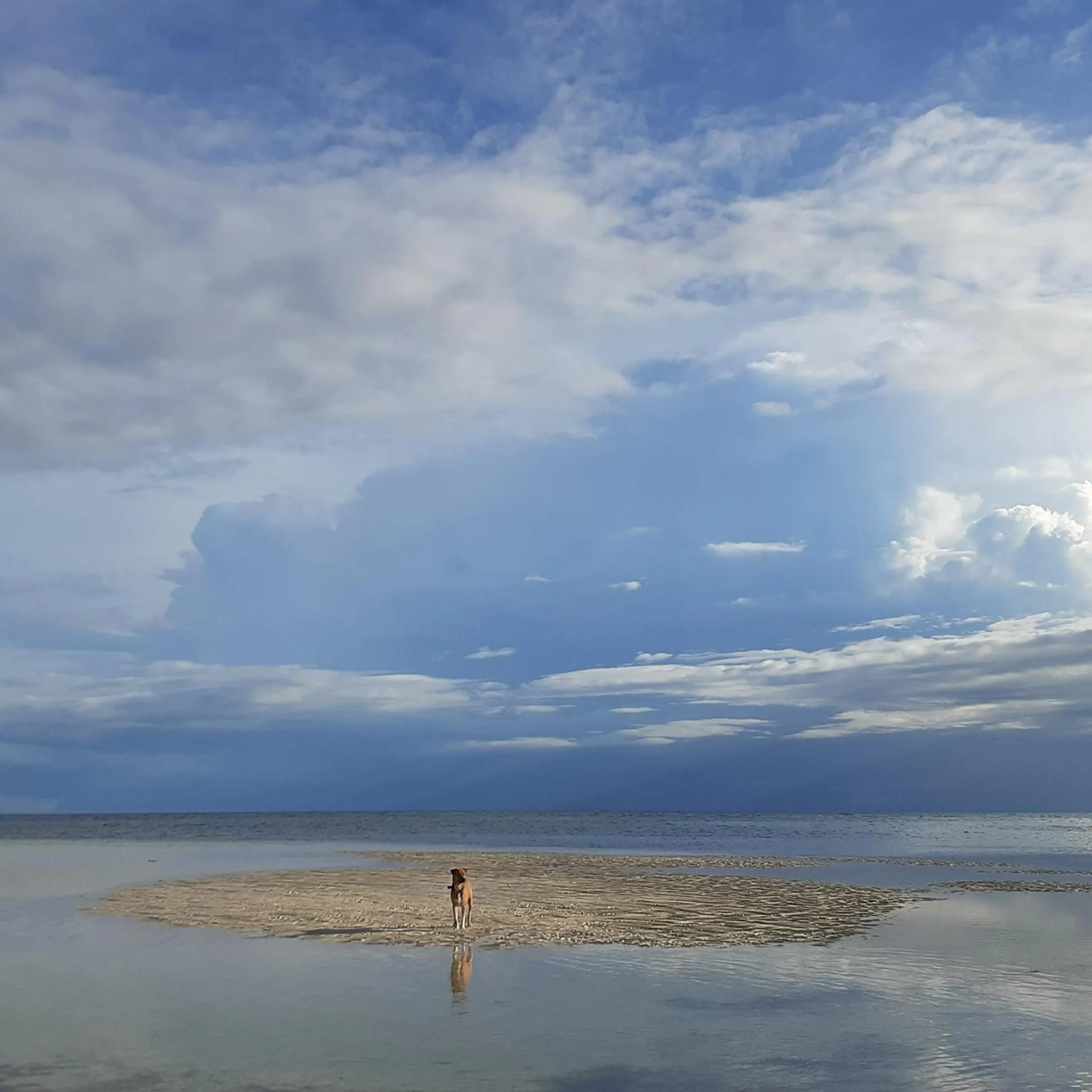 Day in Swakihan Guest House