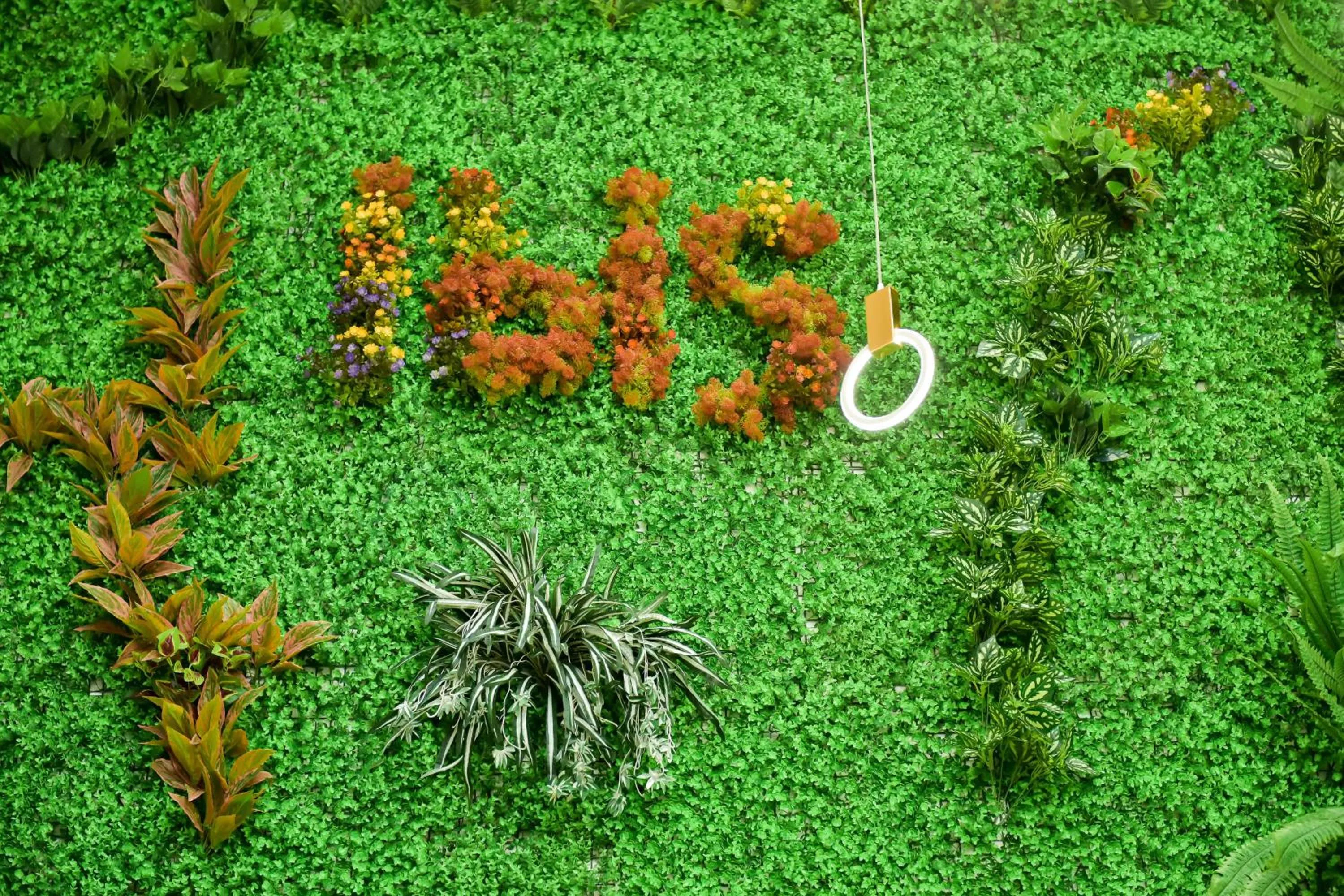 Ibis Guangzhou Pazhou International Exhibition Center Hotel