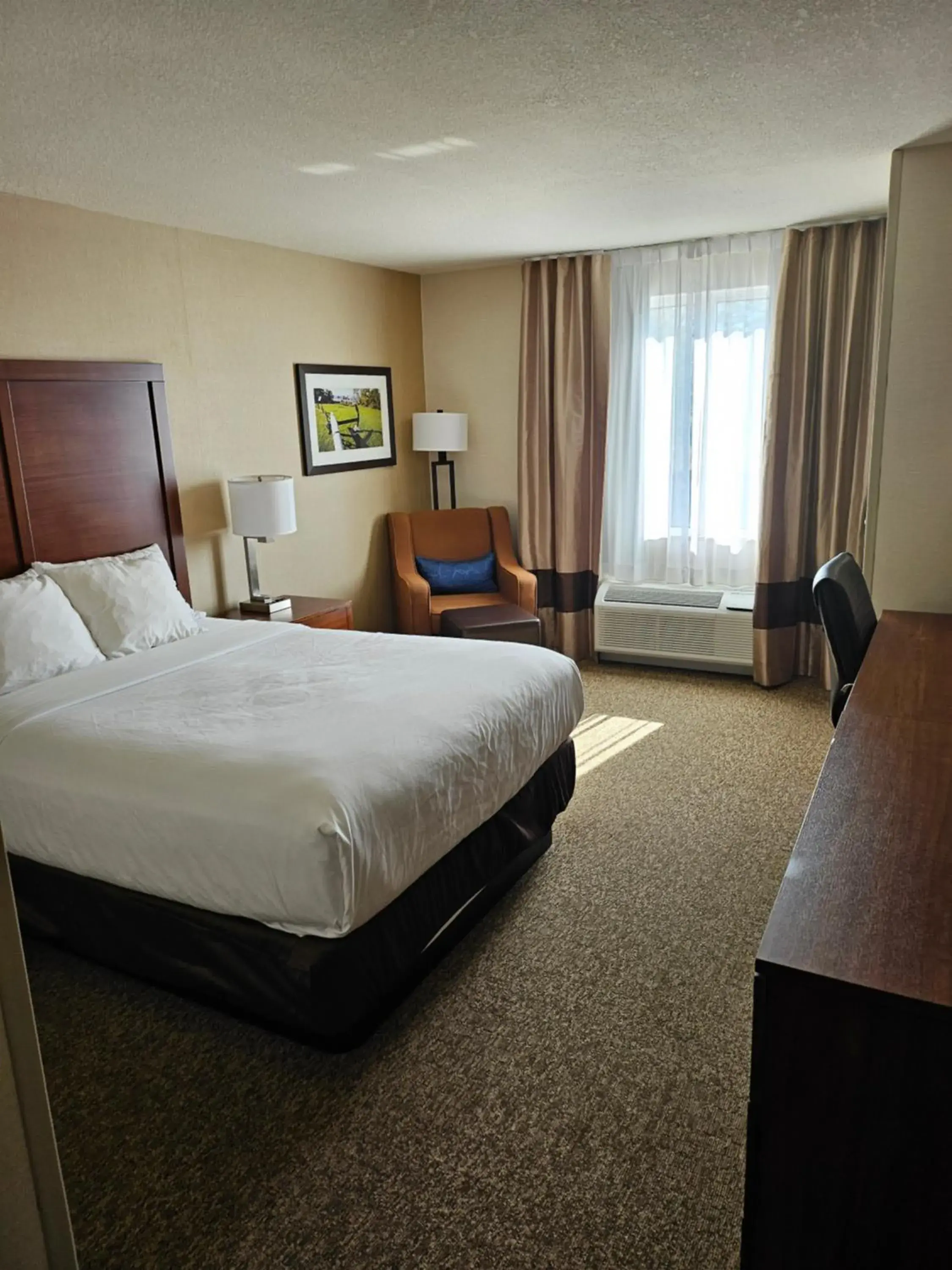 Efficiency Queen Room - Accessible/Non-Smoking in Comfort Inn & Suites Efficiency Queen Room - Accessible/Non-Smoking in Comfort Inn & Suites
