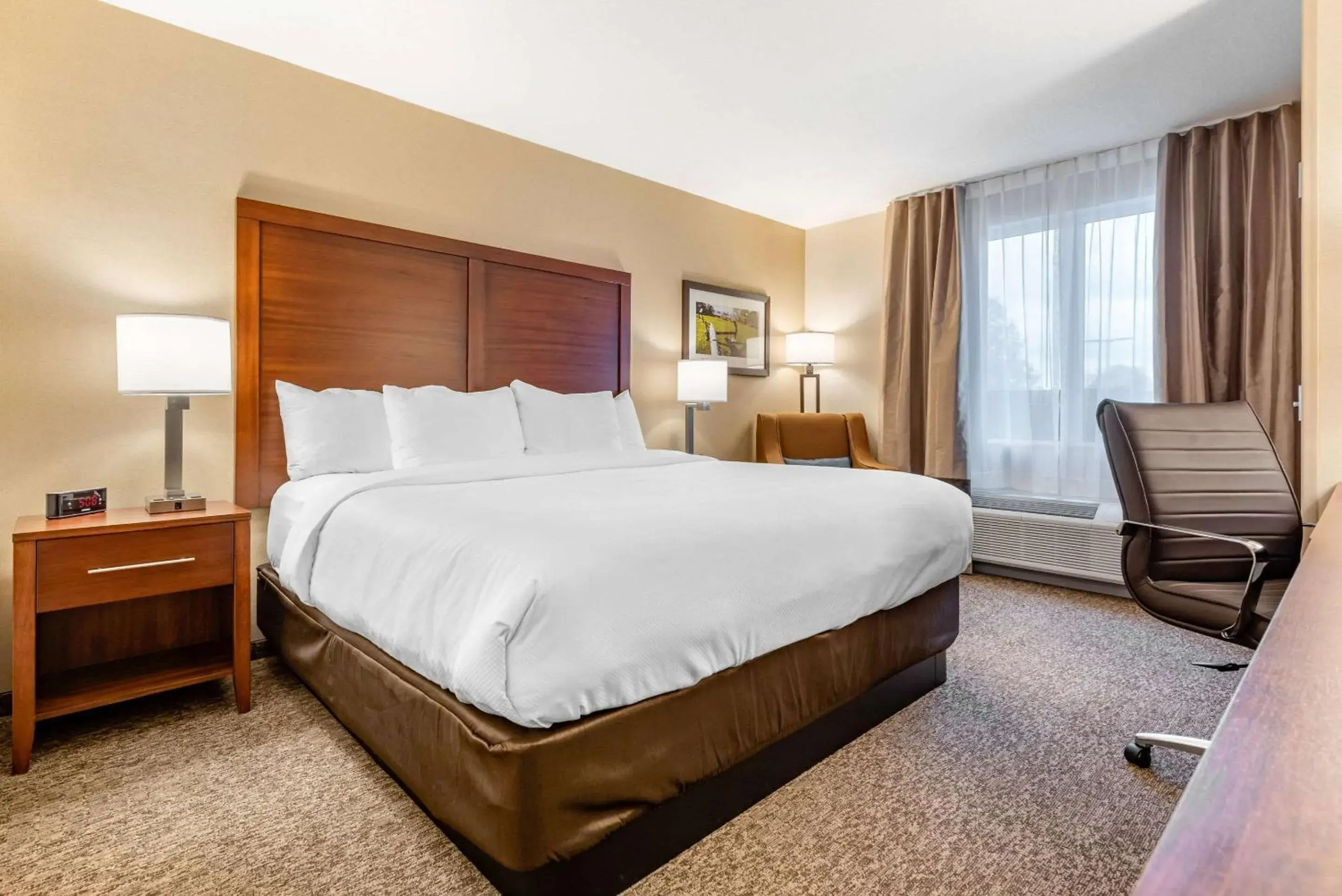 King Room - Non-Smoking in Comfort Inn & Suites King Room - Non-Smoking in Comfort Inn & Suites