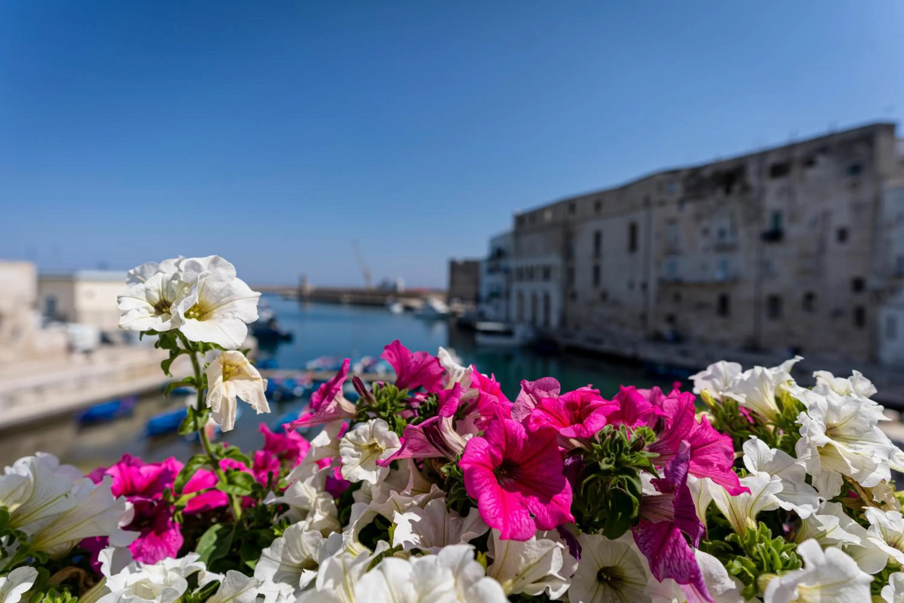 View (from property/room) in AL CONSOLE LUXURY SUITE
