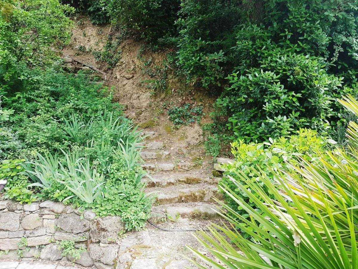 Garden in Les Acanthes