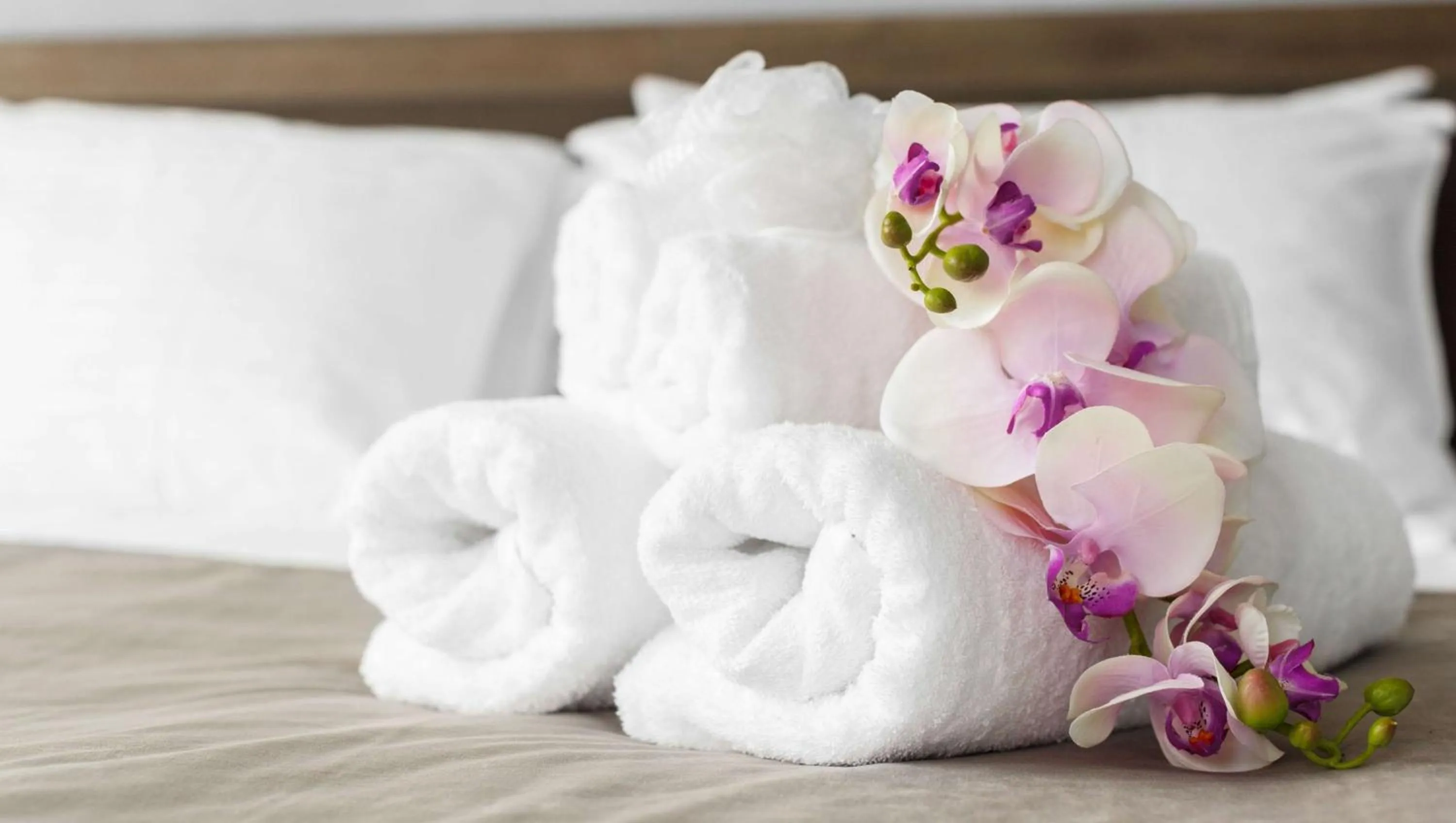 Photo of the whole room, Bed in Express Inn Newport News