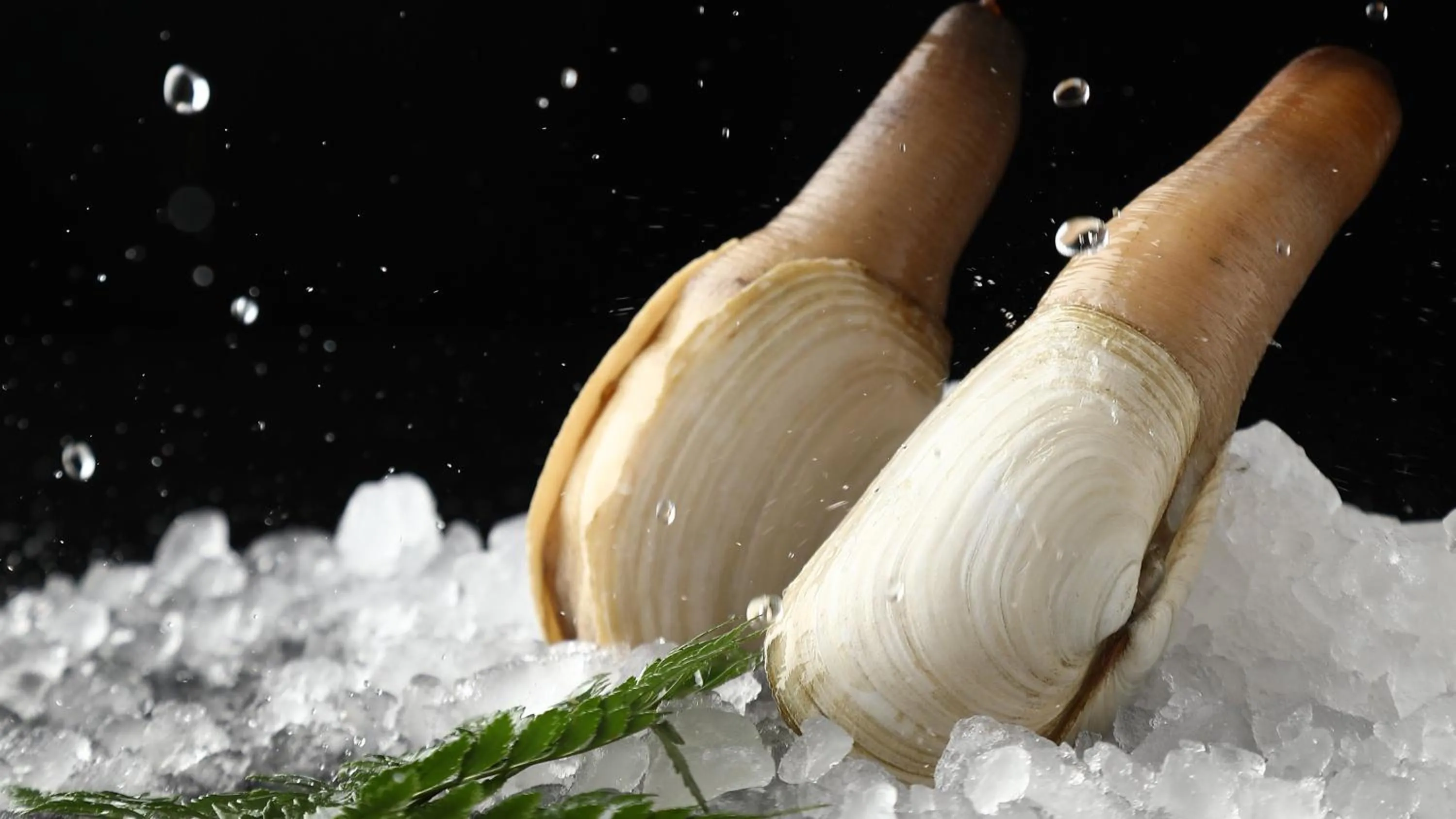 Restaurant/places to eat in Crowne Plaza Nanning City Center by IHG