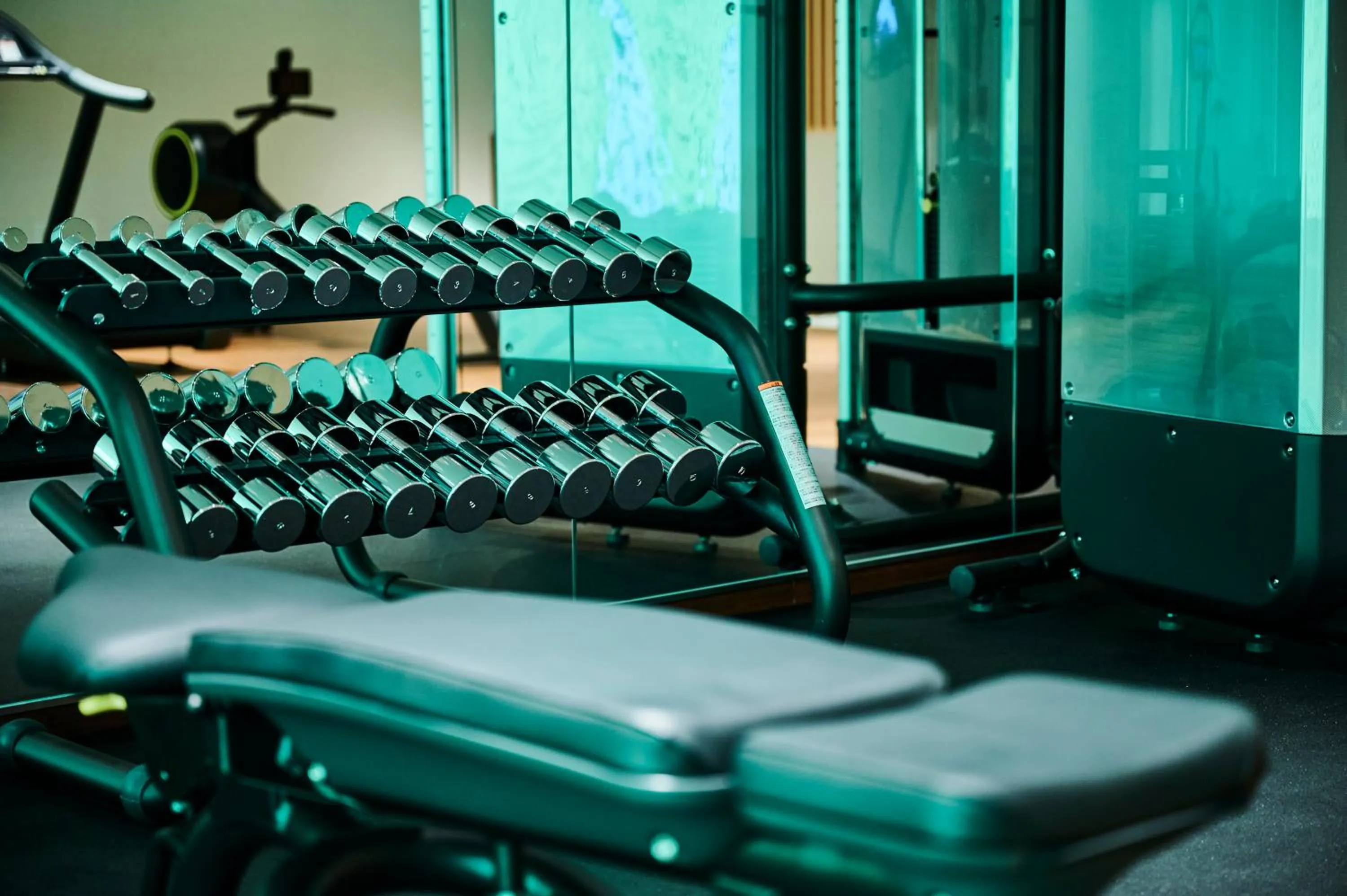 Fitness centre/facilities in Hotel Indigo Hakone Gora by IHG