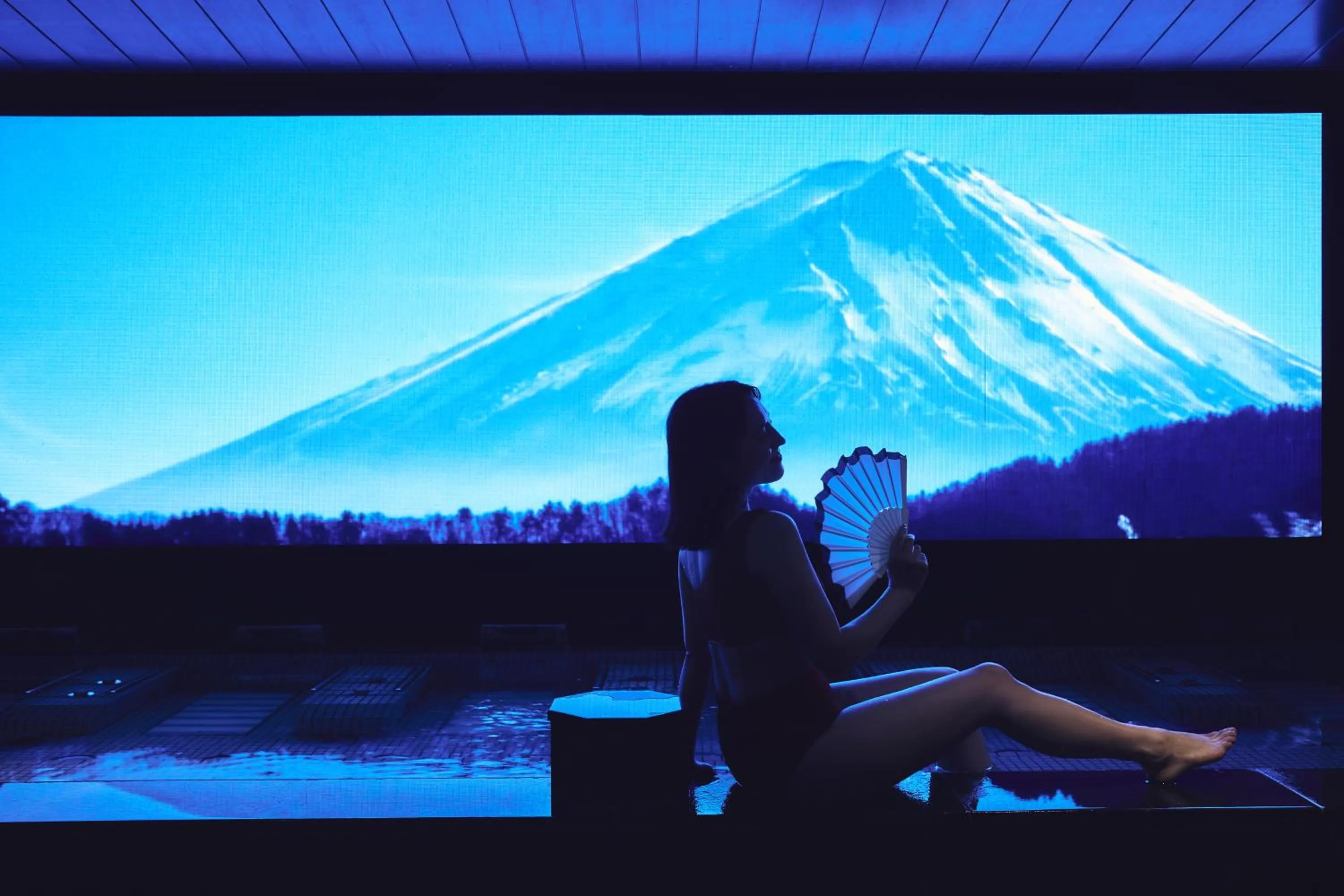 Hot Spring Bath in Hotel Indigo Hakone Gora by IHG