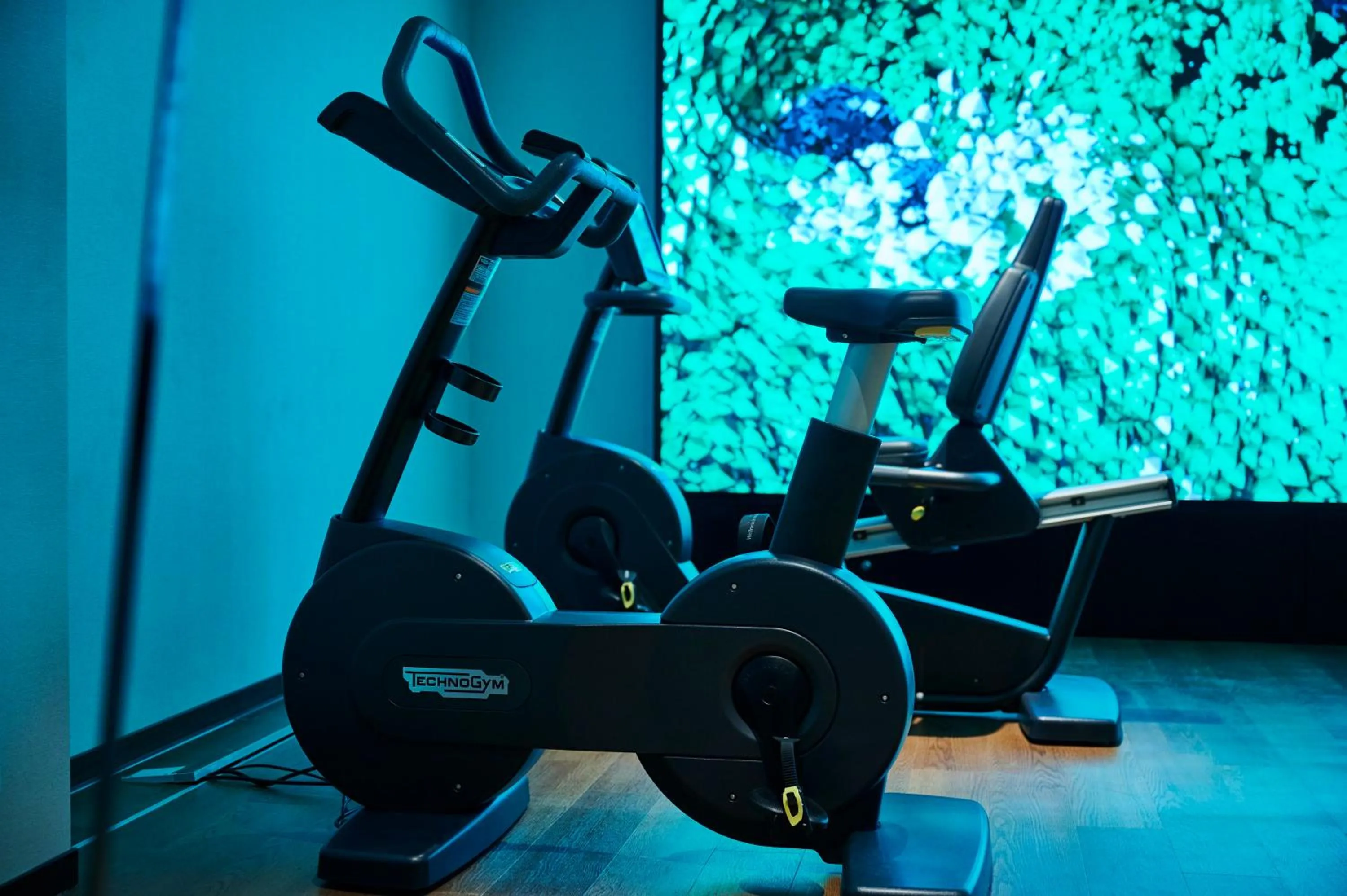 Fitness centre/facilities in Hotel Indigo Hakone Gora by IHG