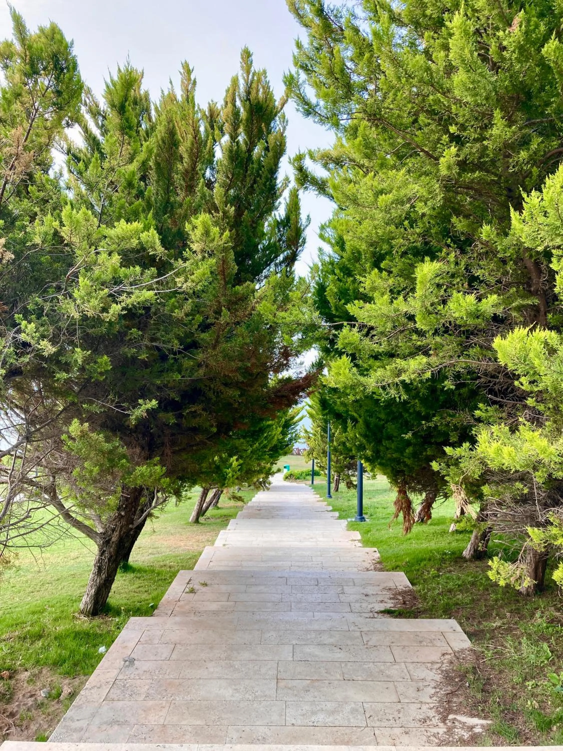 Natural landscape in Karden Otel