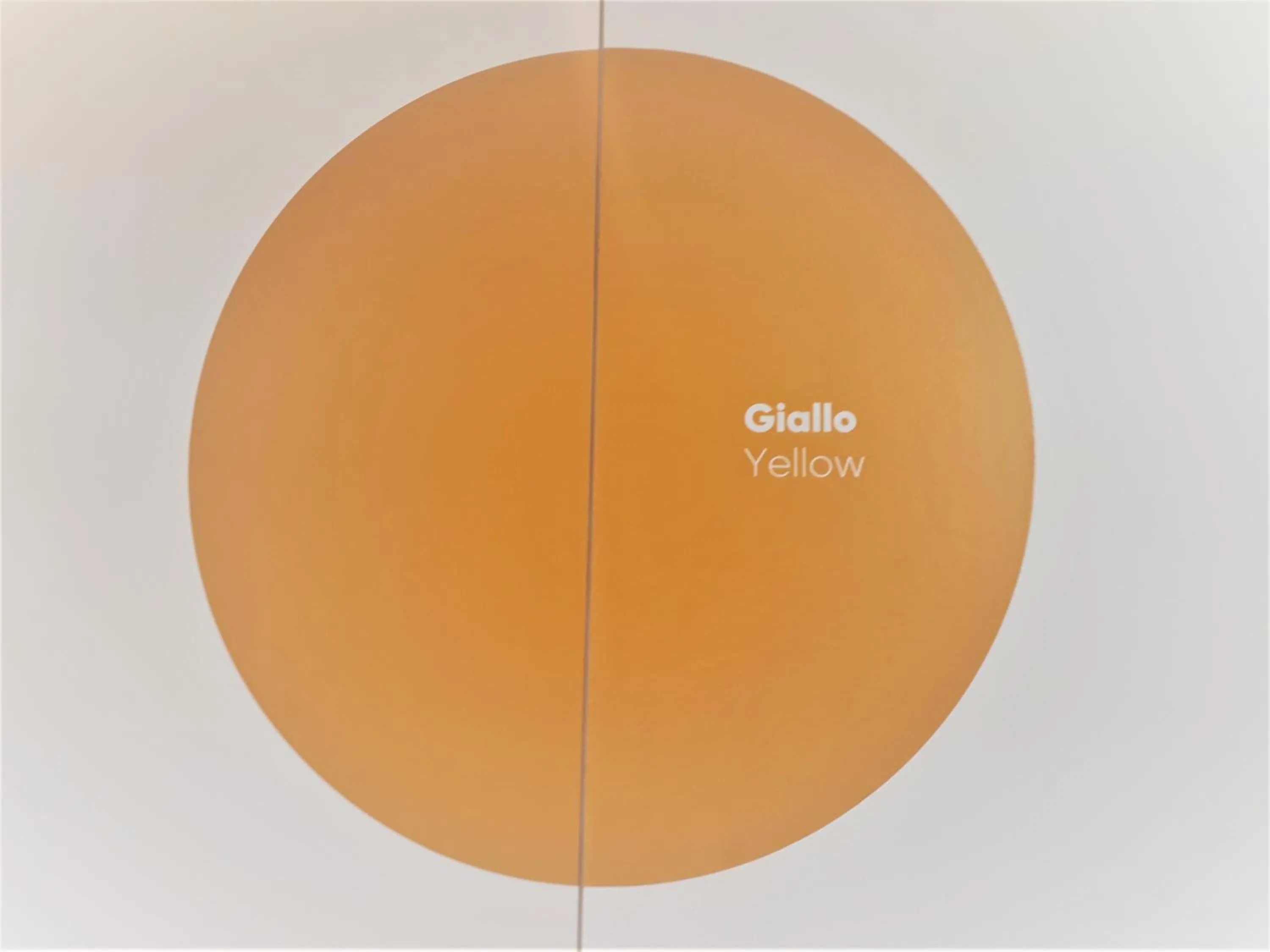 Logo/Certificate/Sign in Luna Blu