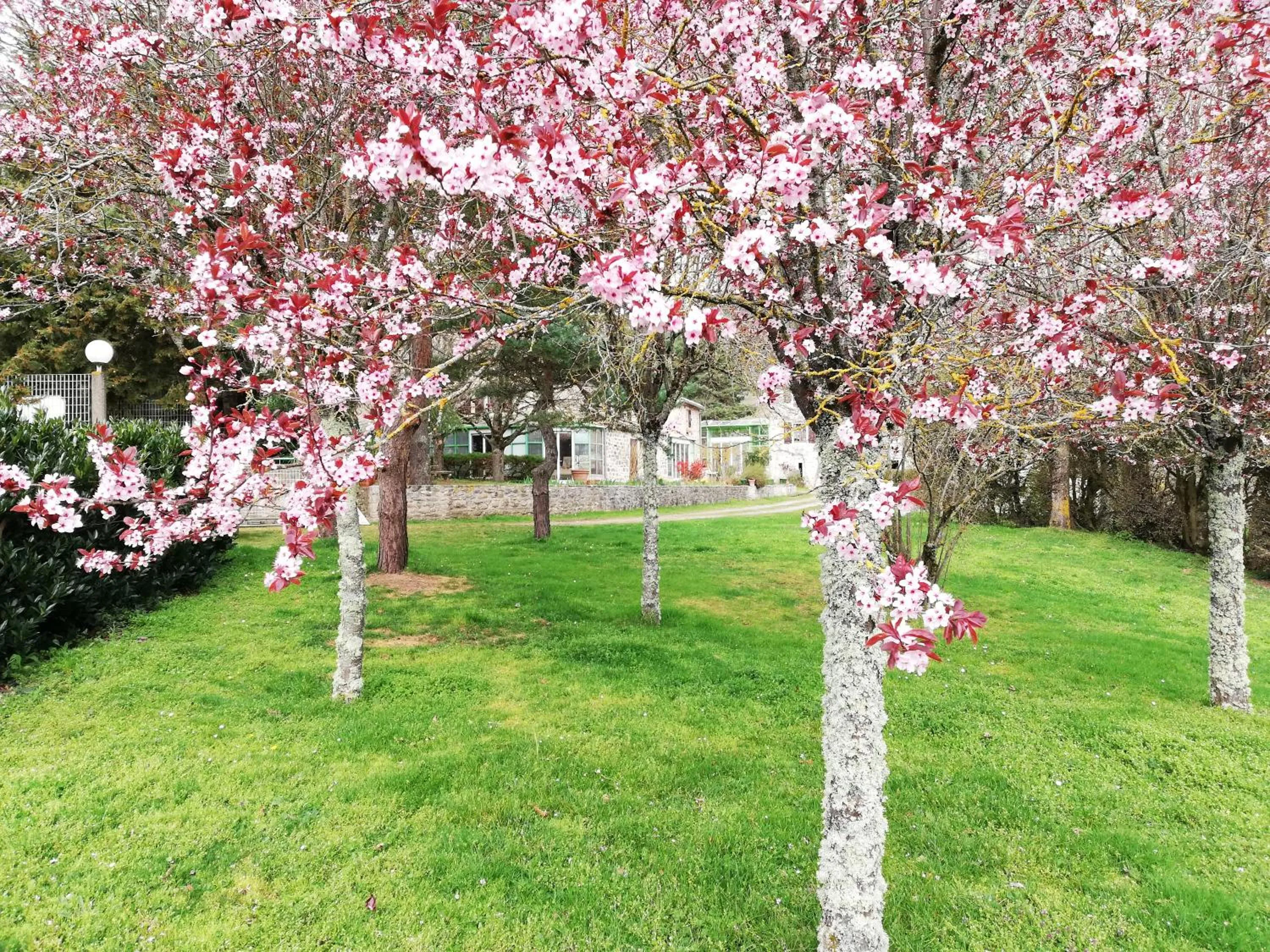 Garden in Domaine des Goudis