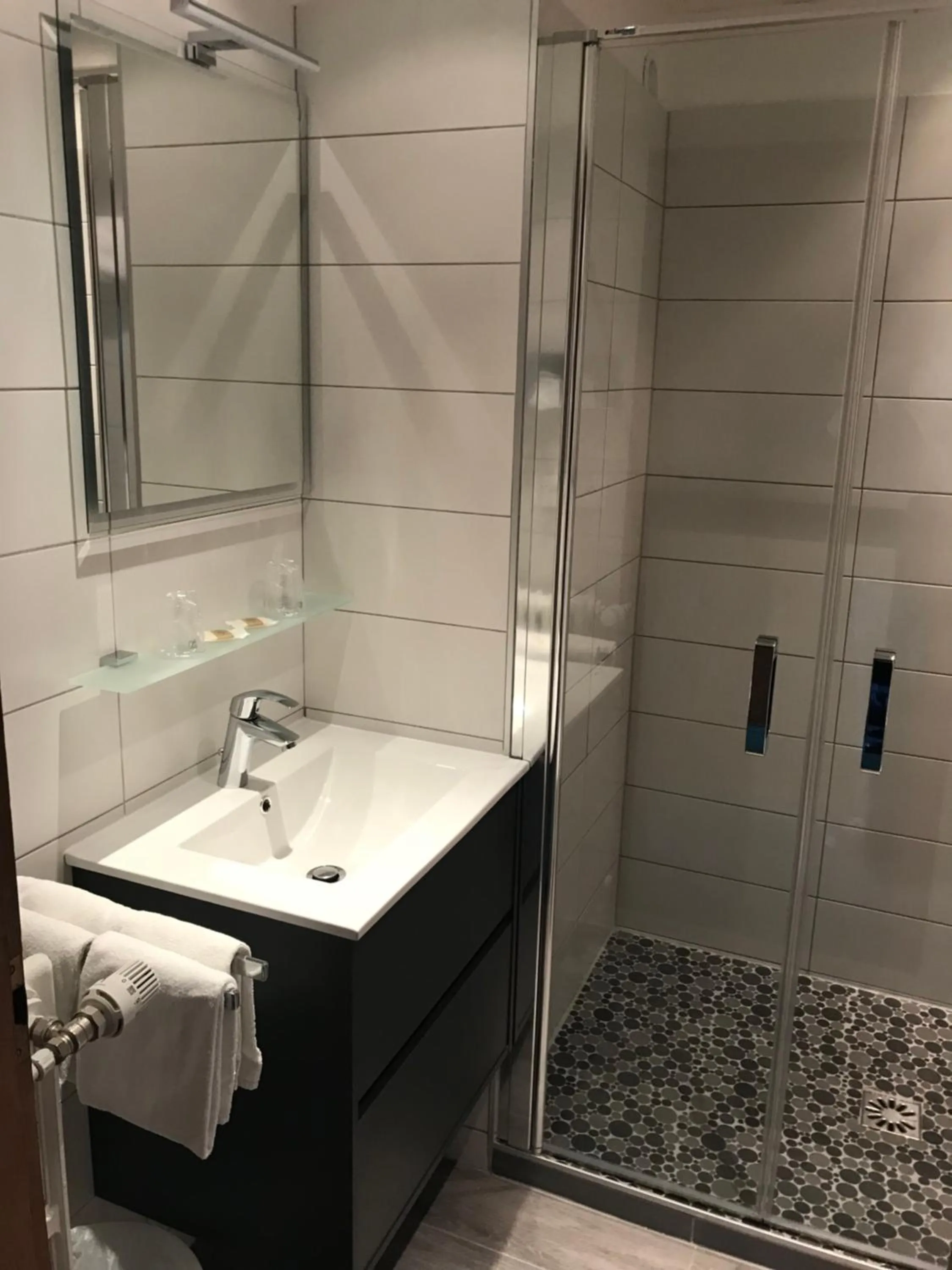 Shower in Logis Hôtel-Restaurant Aux Trois Roses