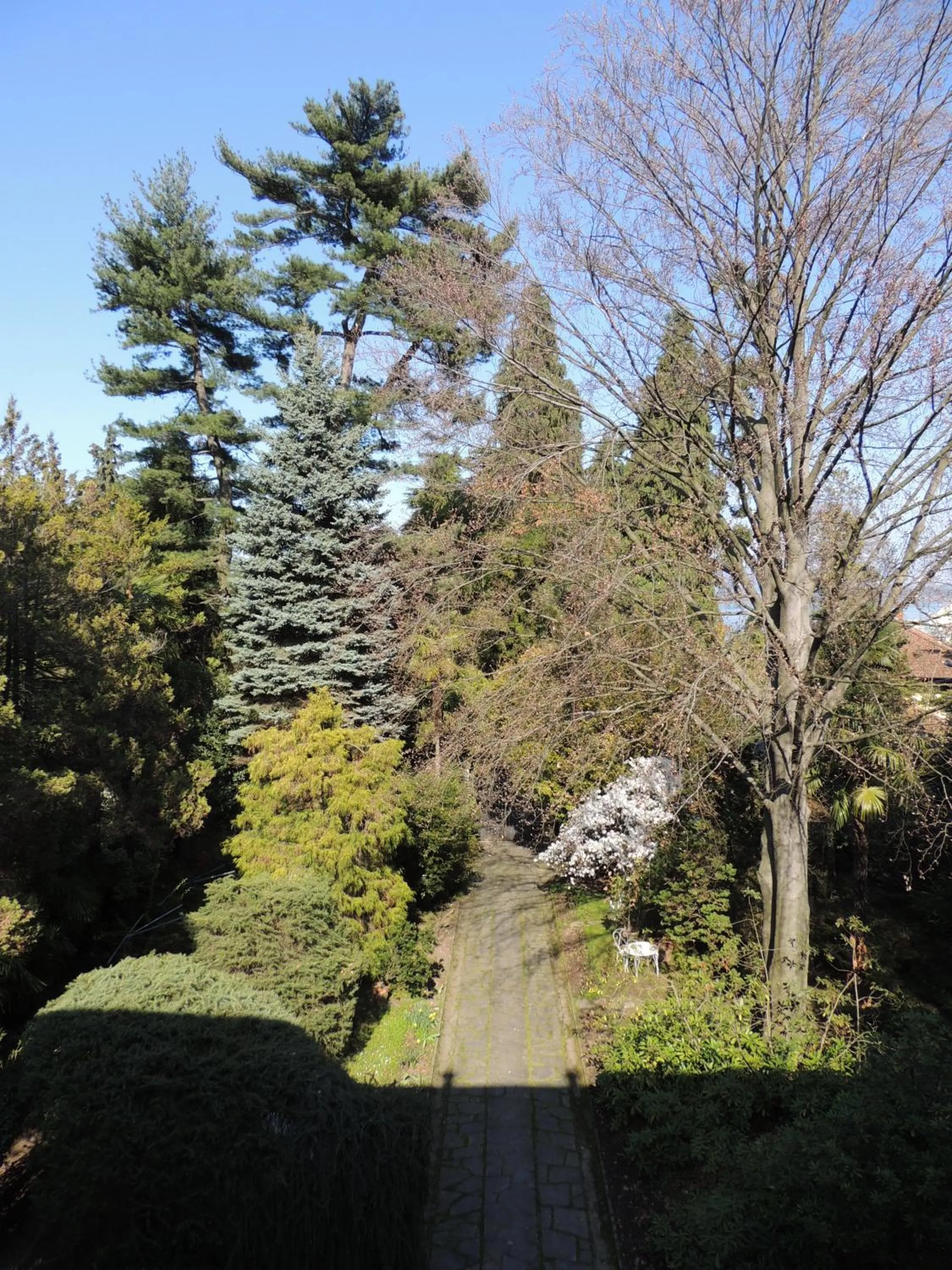 Garden in B&B Villa Margherita