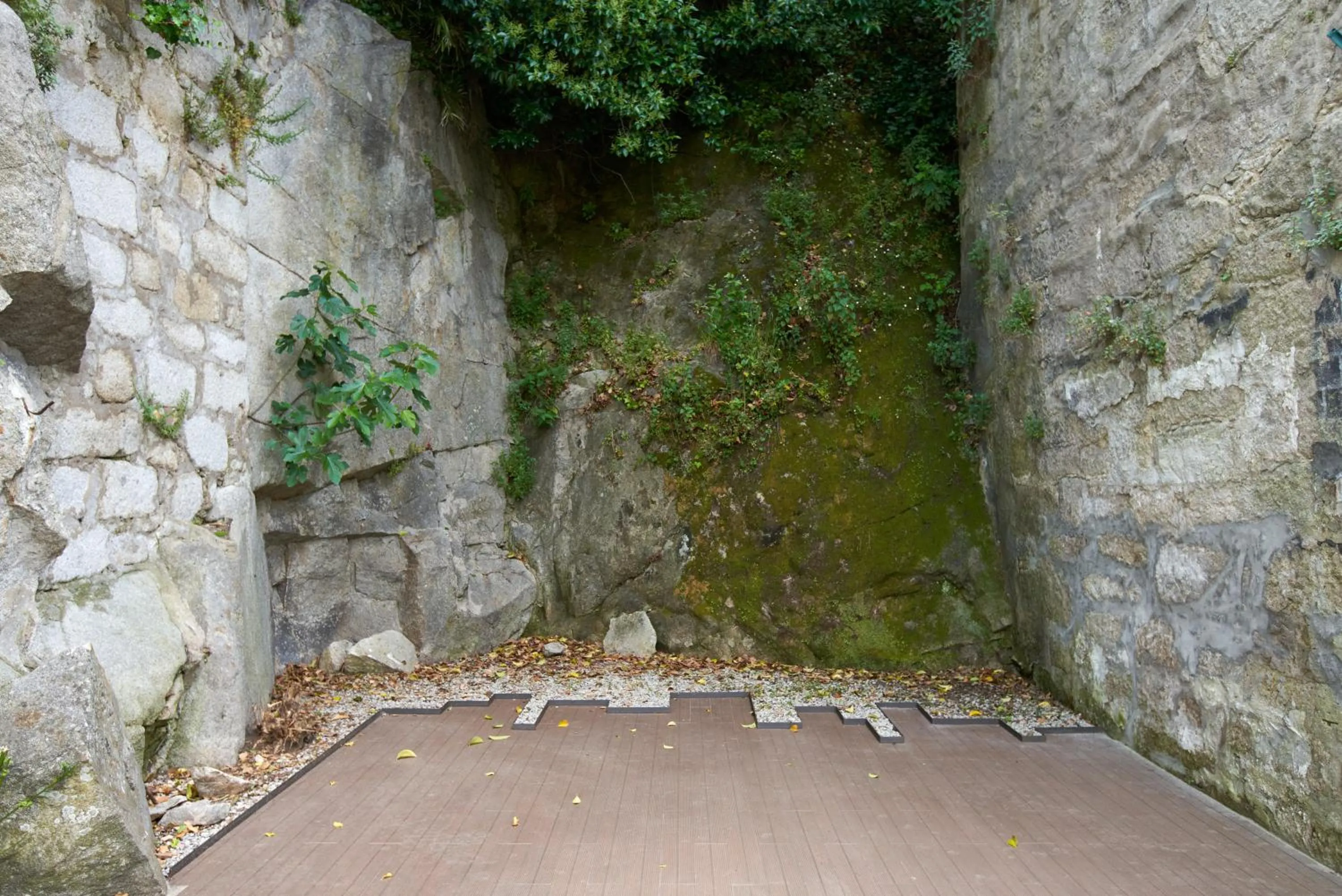 Natural landscape in Signature Apartments Santa Catarina