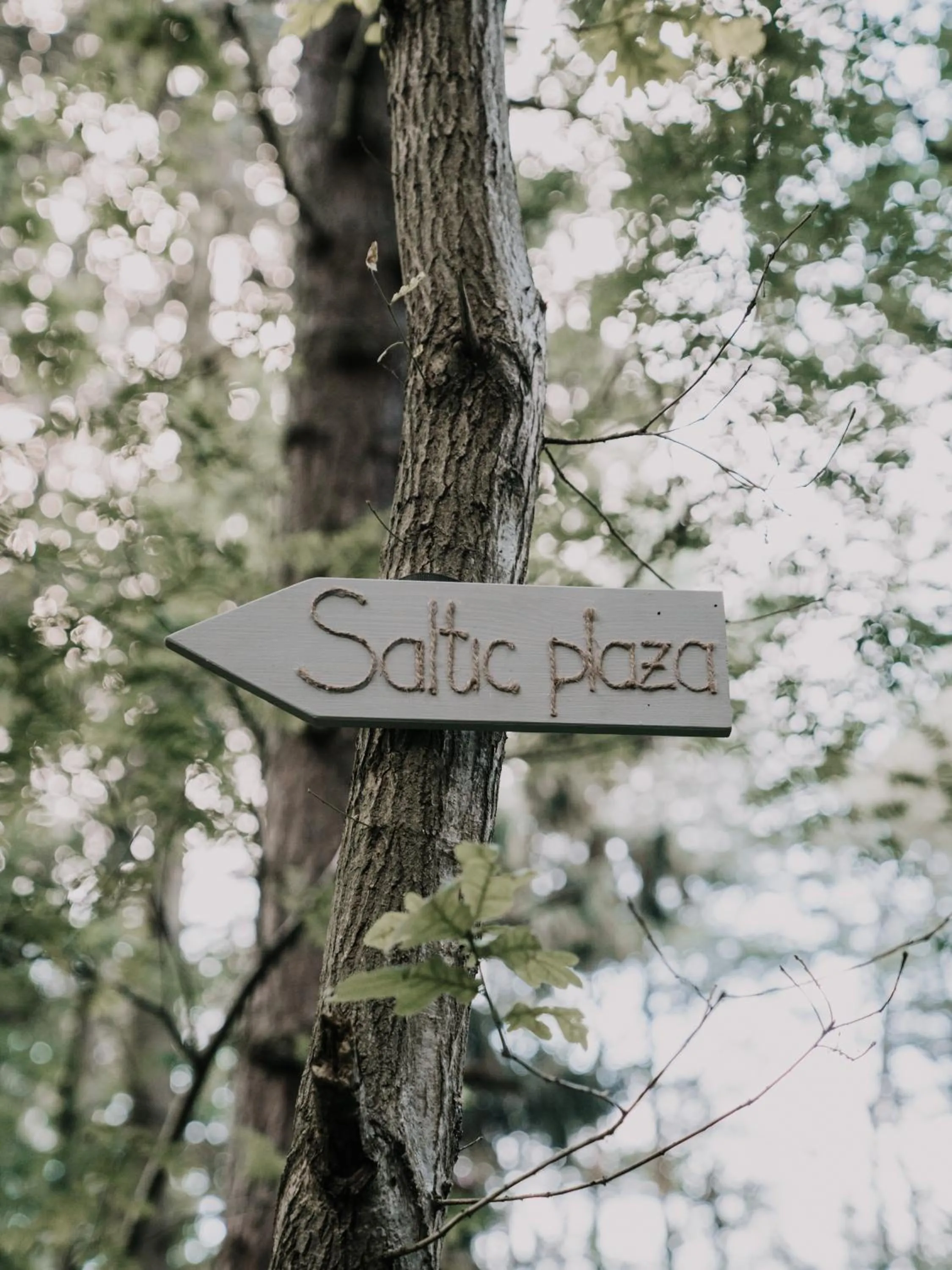 Property logo or sign in Hotel Saltic Resort & Spa Grzybowo