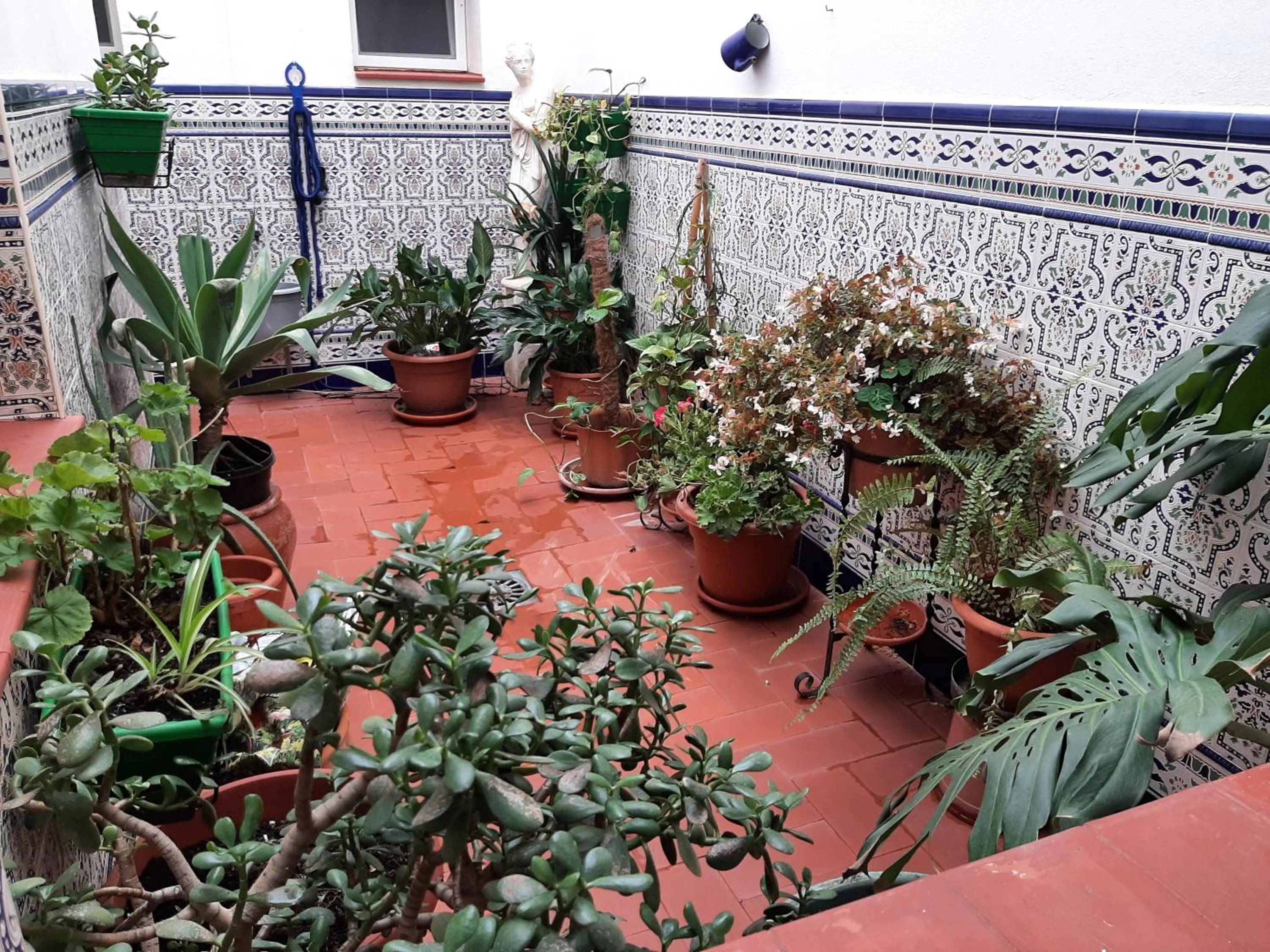 View (from property/room) in Sotel Valle Guadiaro