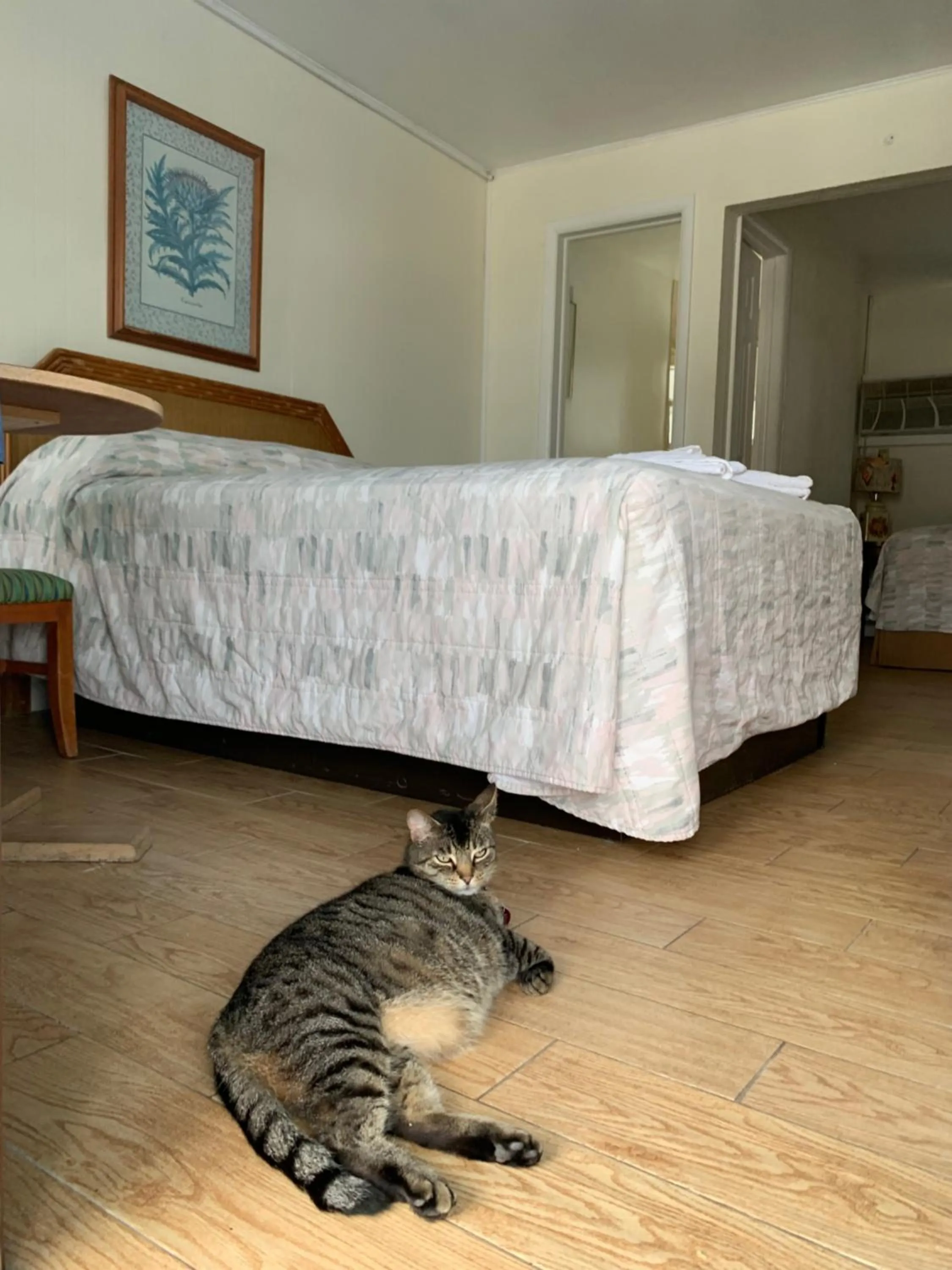 Bed in White Caps Motel