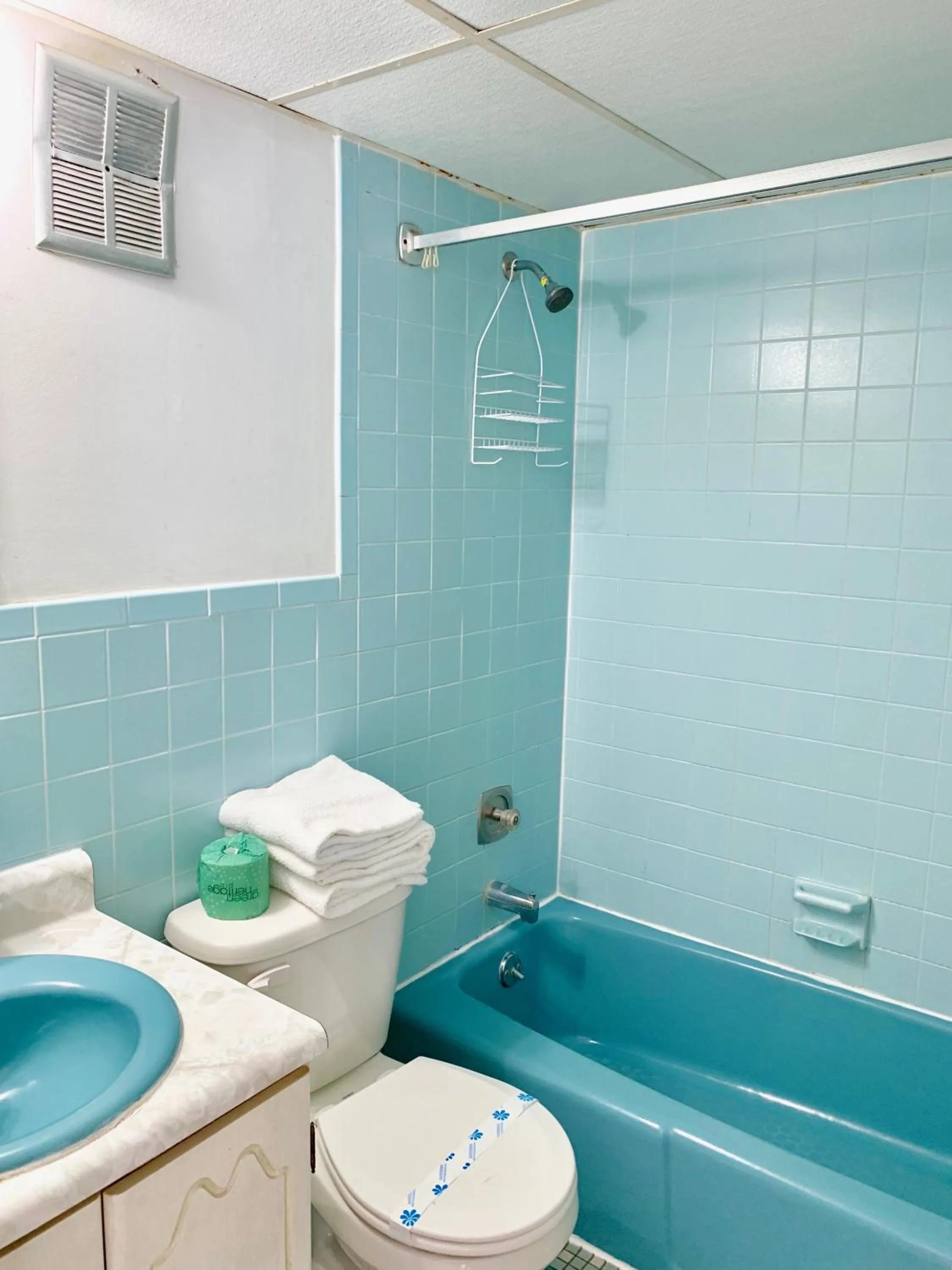 Shower in White Caps Motel