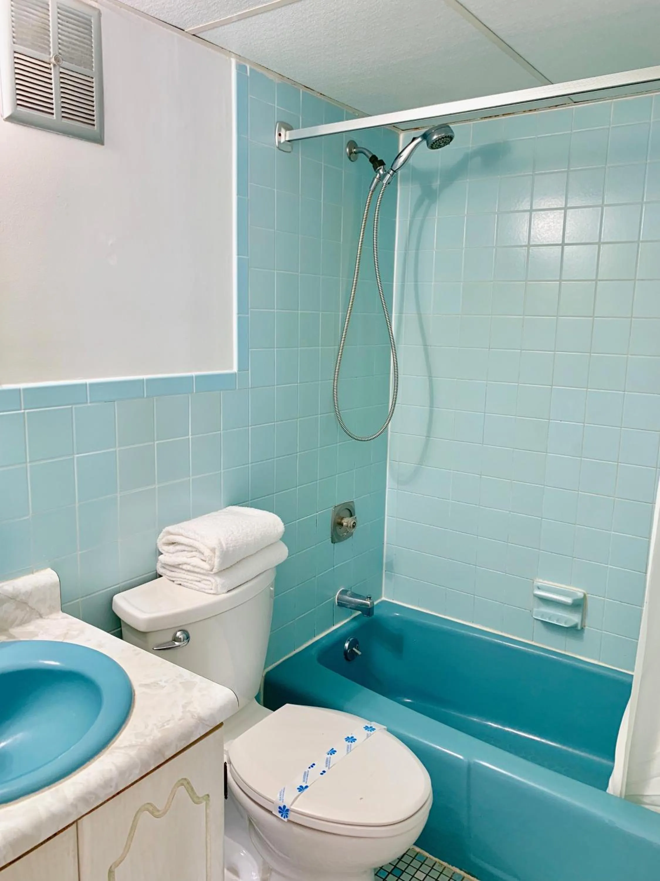 Shower in White Caps Motel