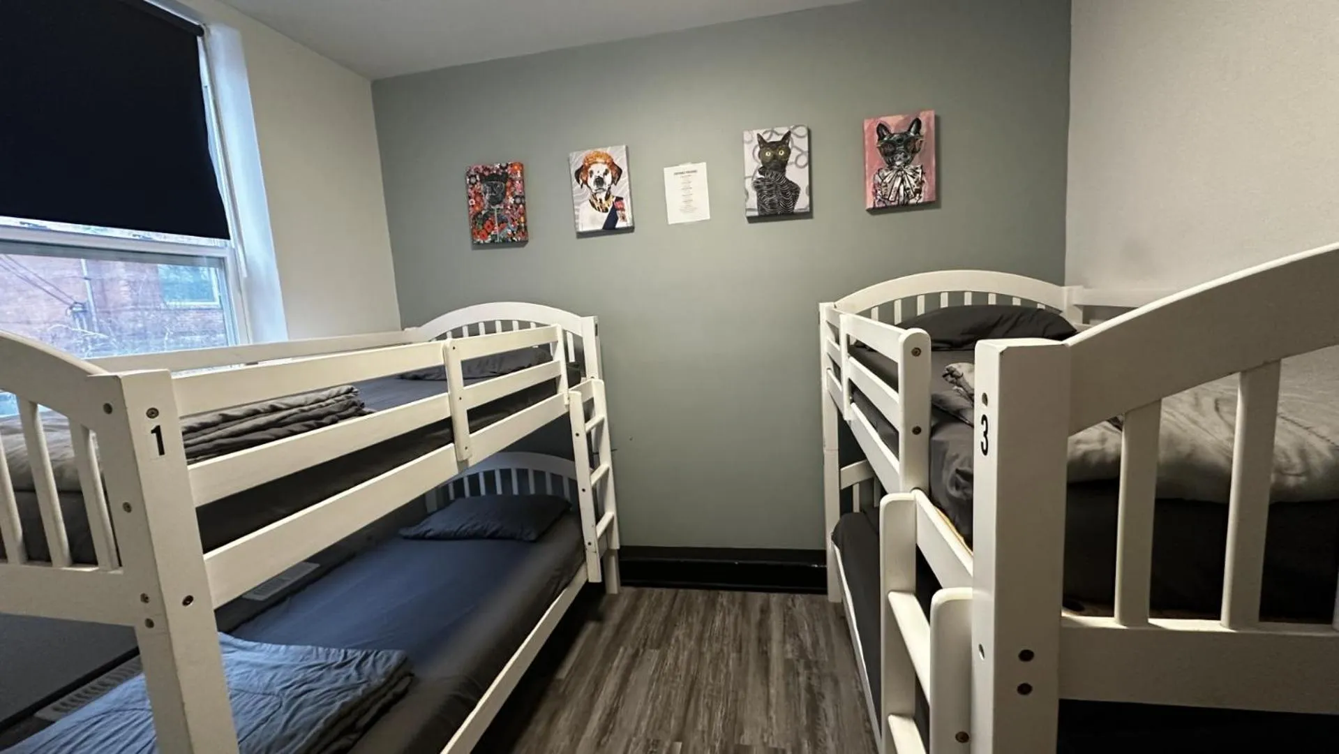 Photo of the whole room in Queen Nest Hotel