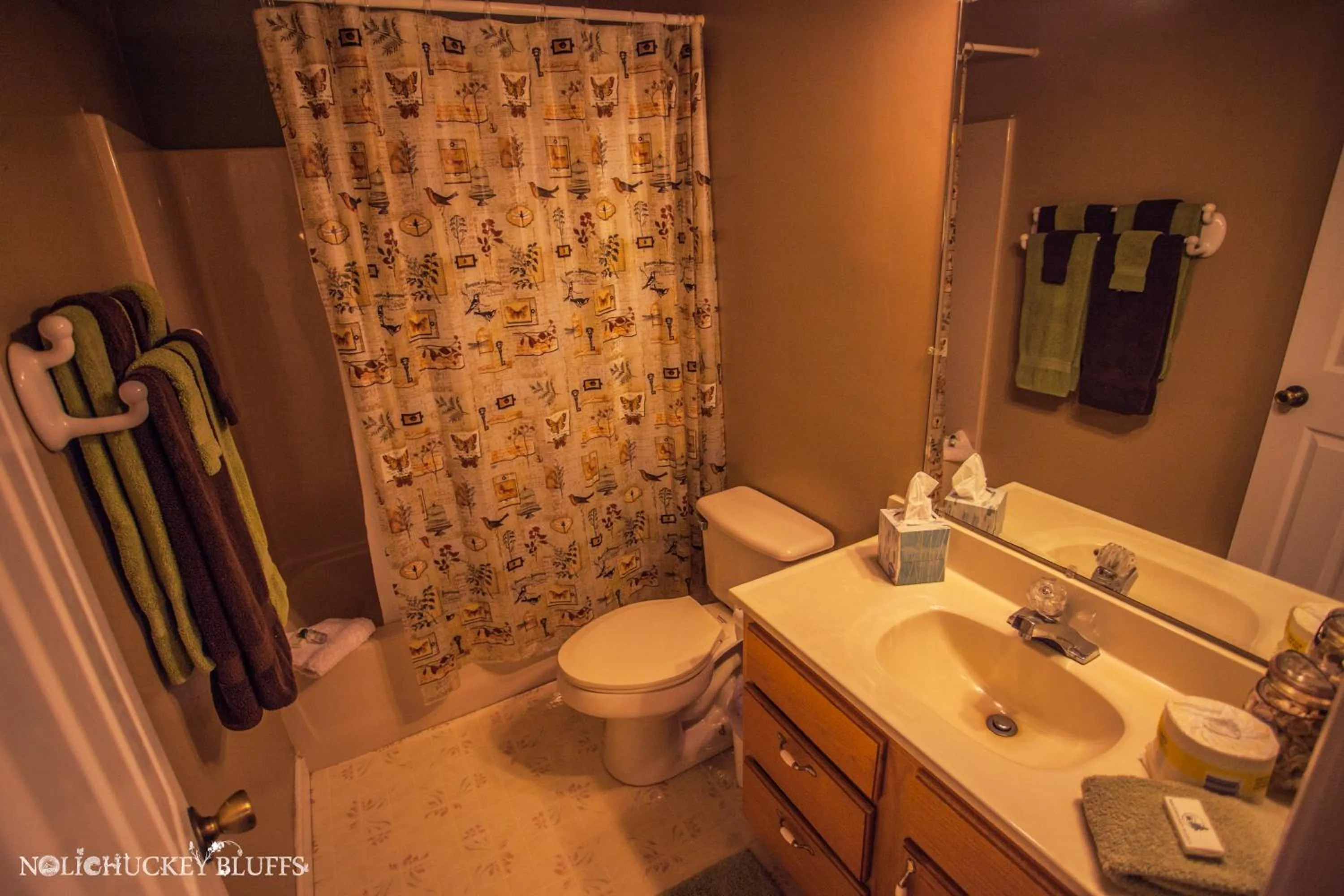 Toilet in Nolichuckey Bluffs Bed & Breakfast Cabins