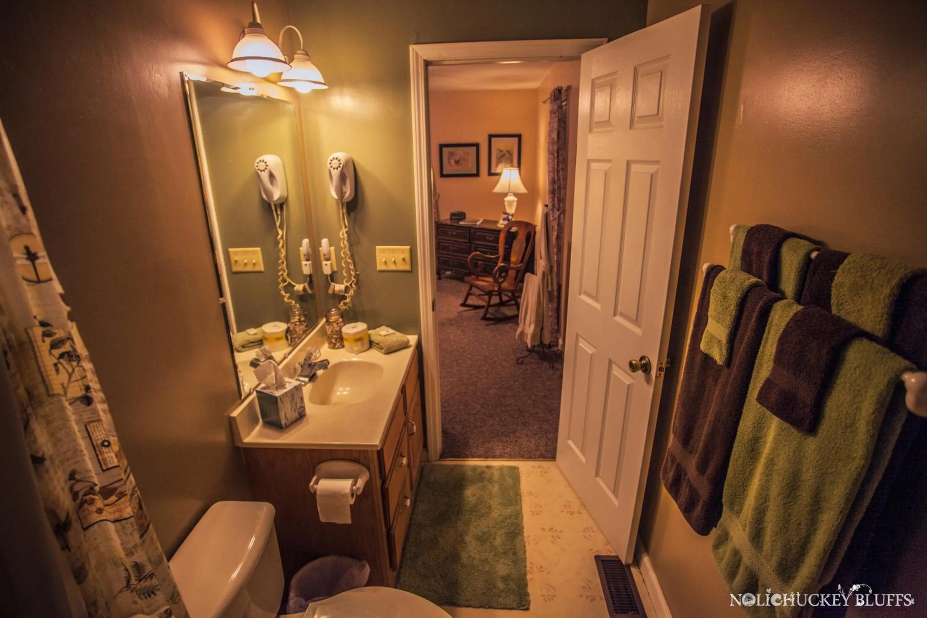 Toilet in Nolichuckey Bluffs Bed & Breakfast Cabins