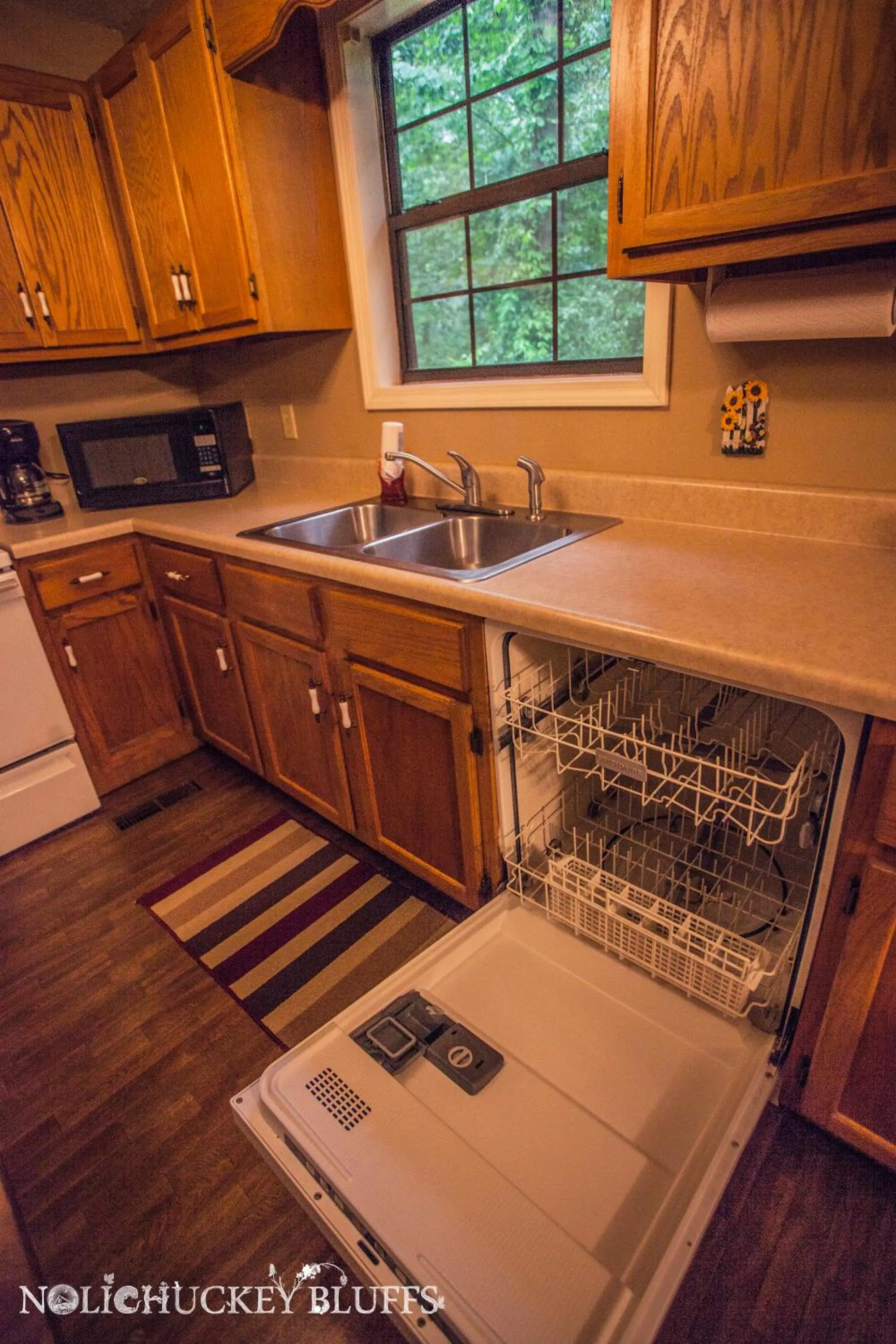 Kitchen or kitchenette in Nolichuckey Bluffs Bed & Breakfast Cabins
