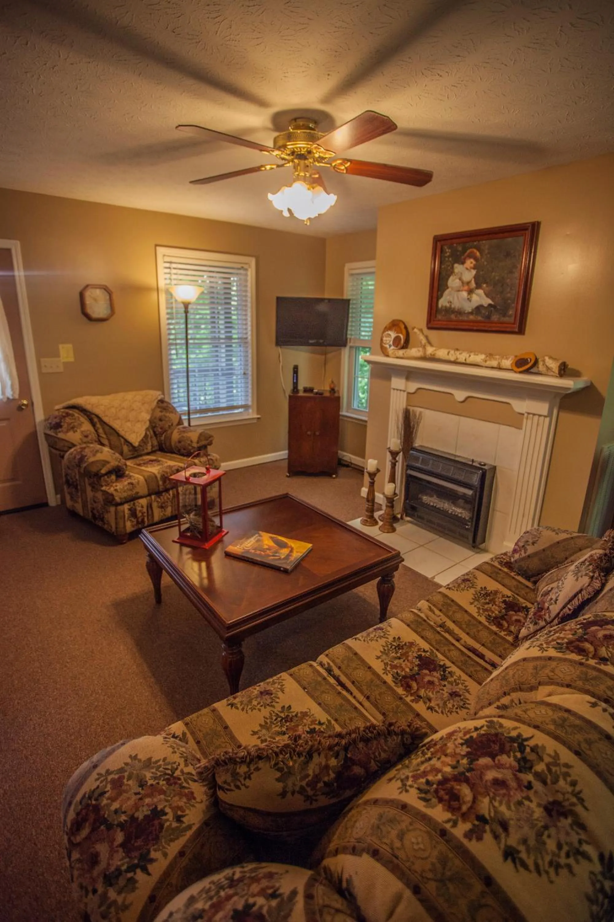 TV and multimedia in Nolichuckey Bluffs Bed & Breakfast Cabins