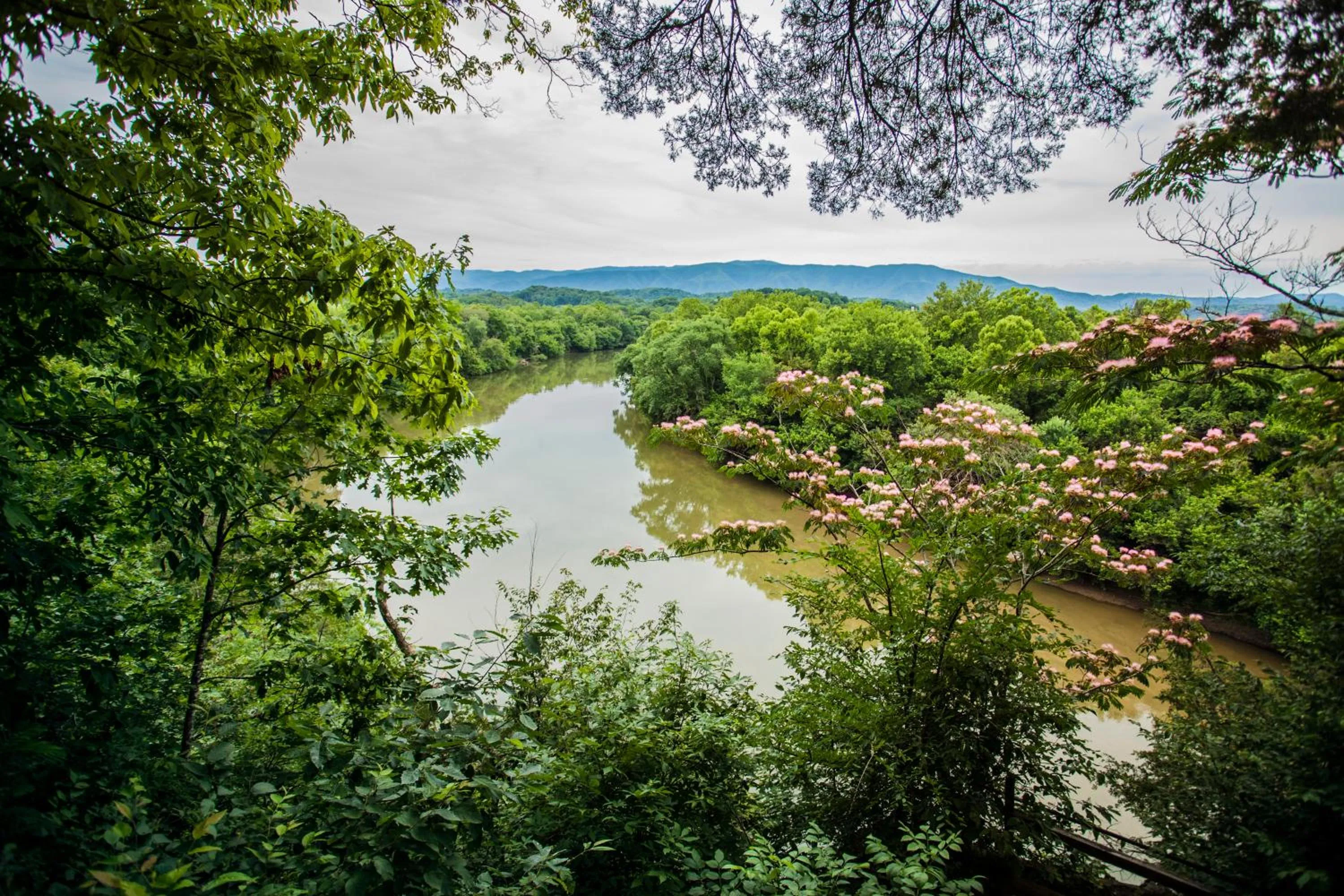 Day in Nolichuckey Bluffs Bed & Breakfast Cabins
