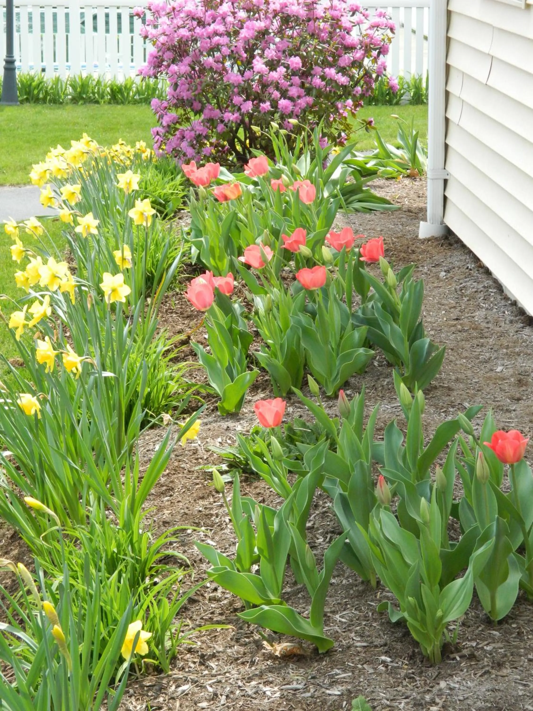Garden in The Heritage of Lake George