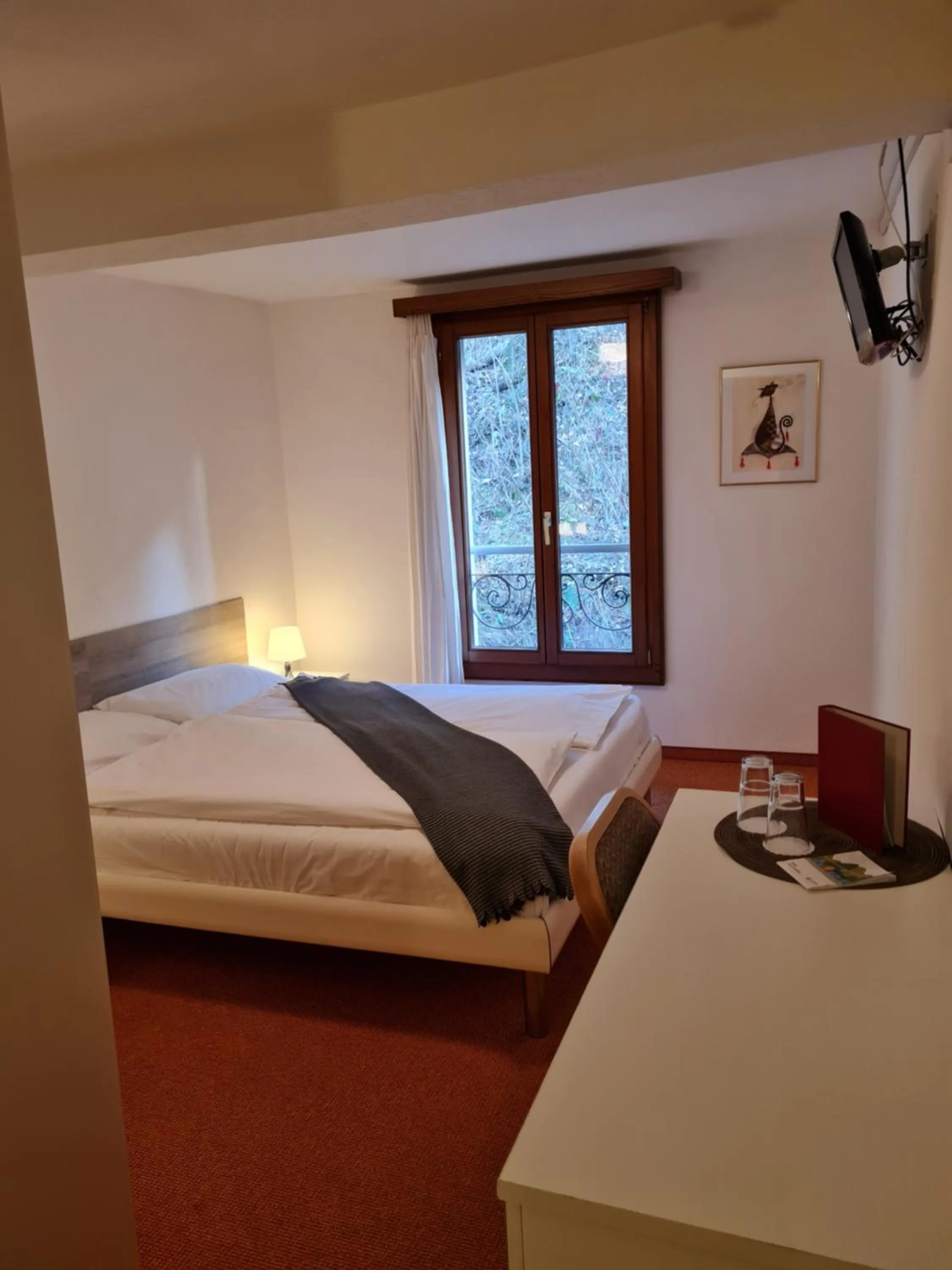 Double Room with Mountain View in Zappa Lake Lodge