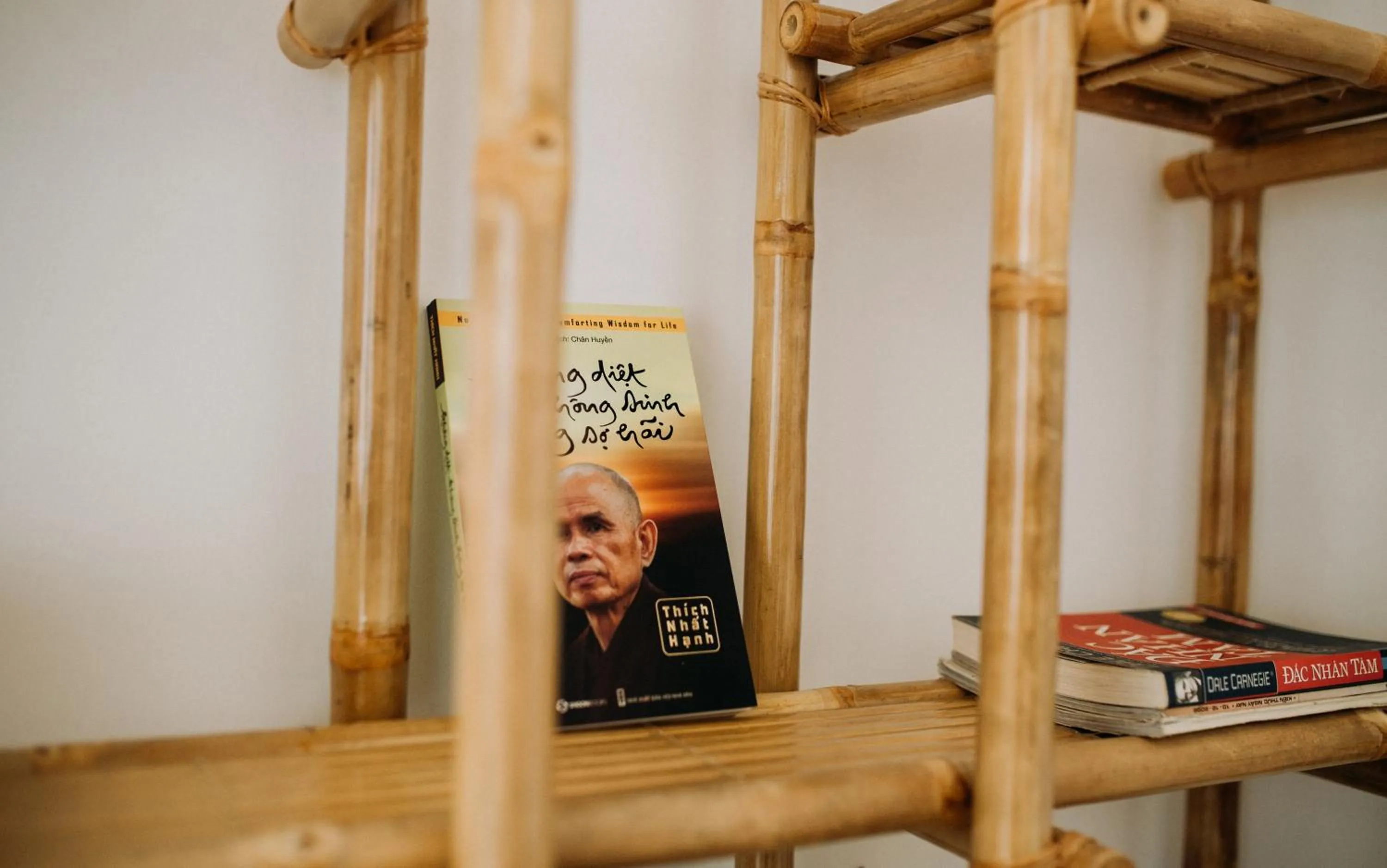 Property logo or sign in Tâm Homestay