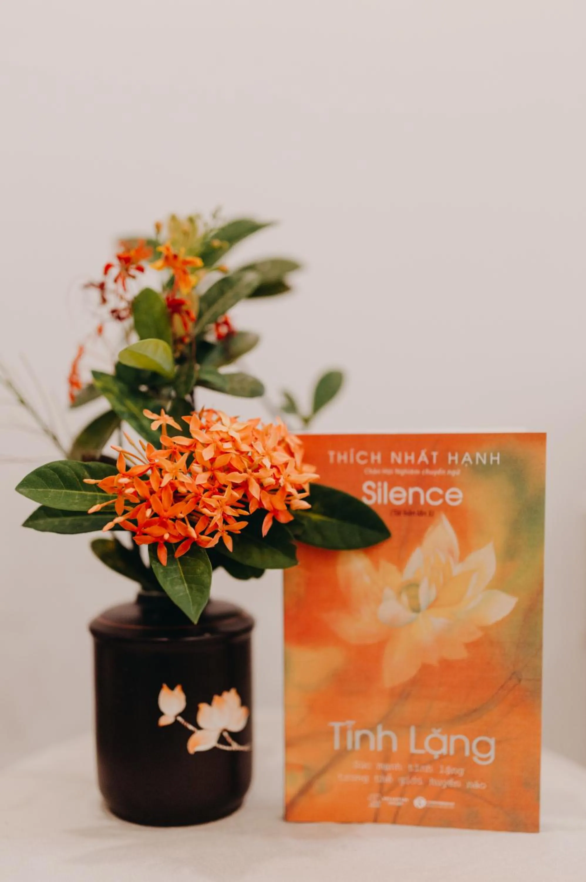 Library in Tâm Homestay