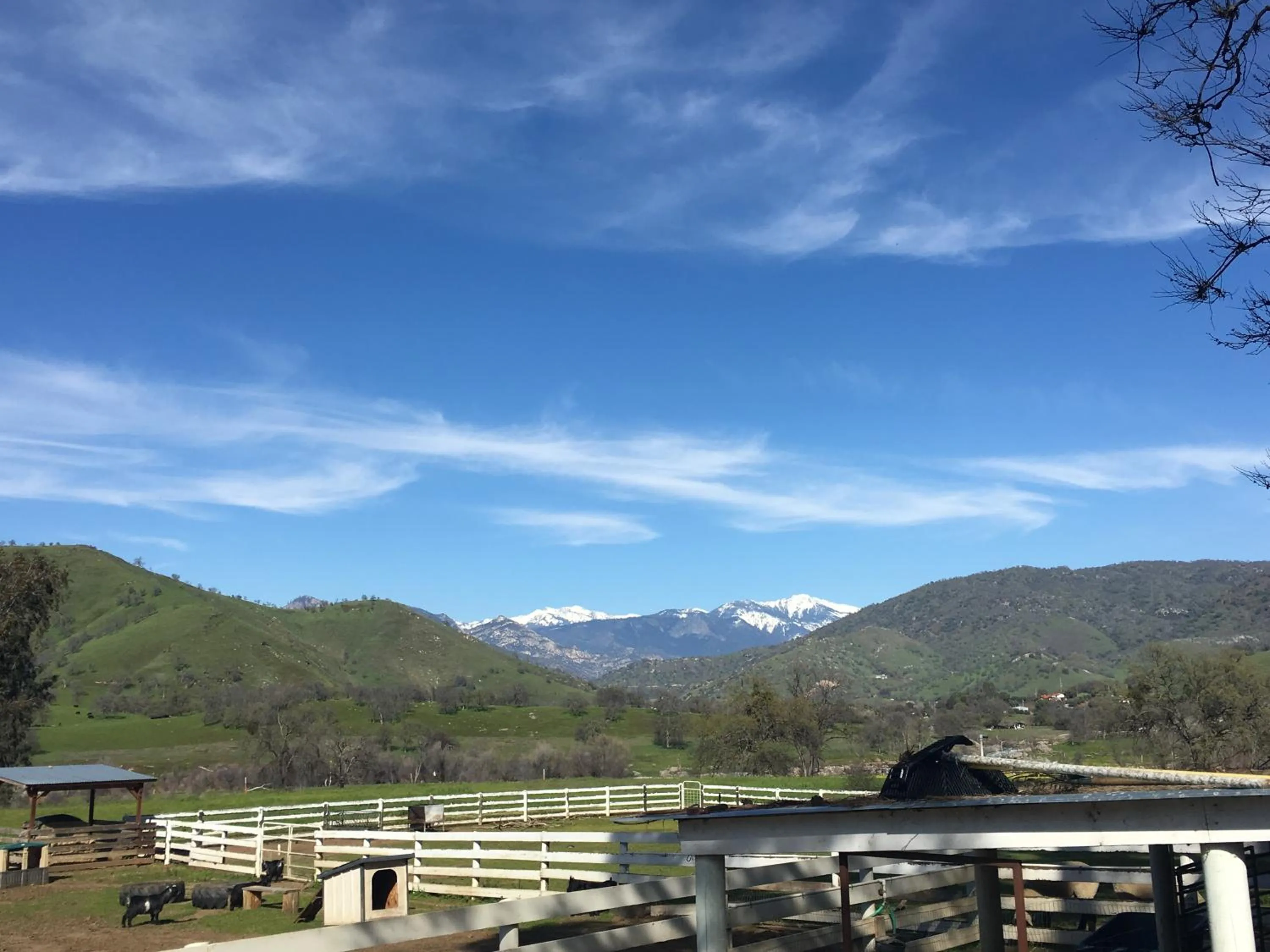Mountain view in Lazy J Ranch Motel