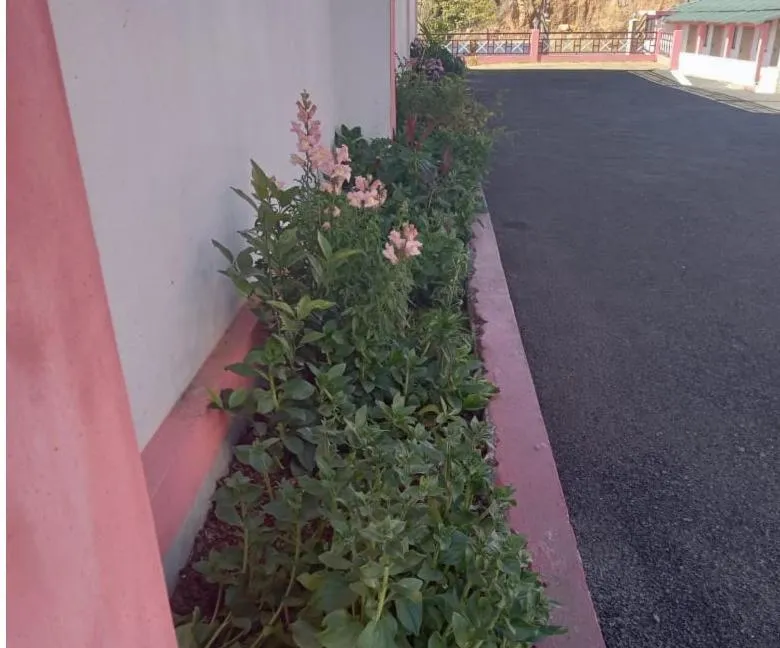 Day in Sulawado Resort