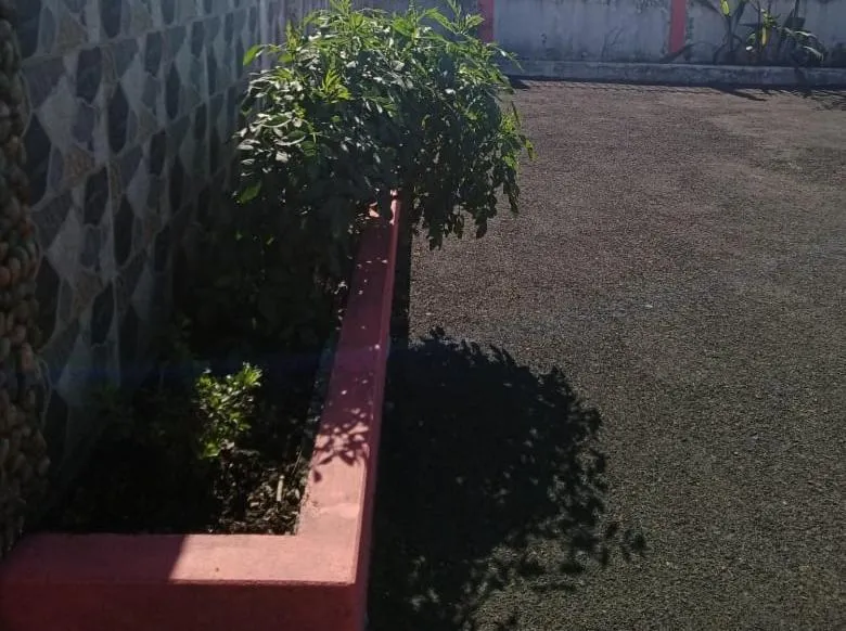 Garden in Sulawado Resort