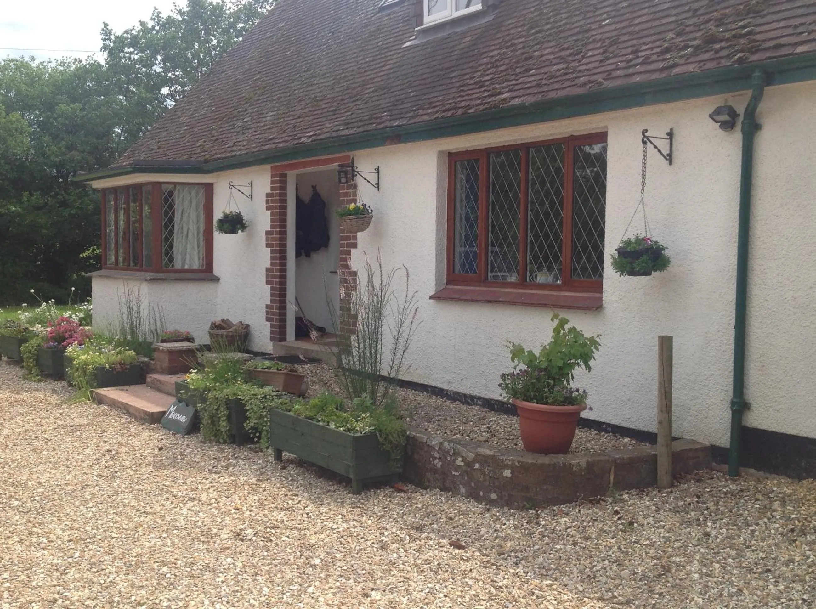 Property building in Meadowview