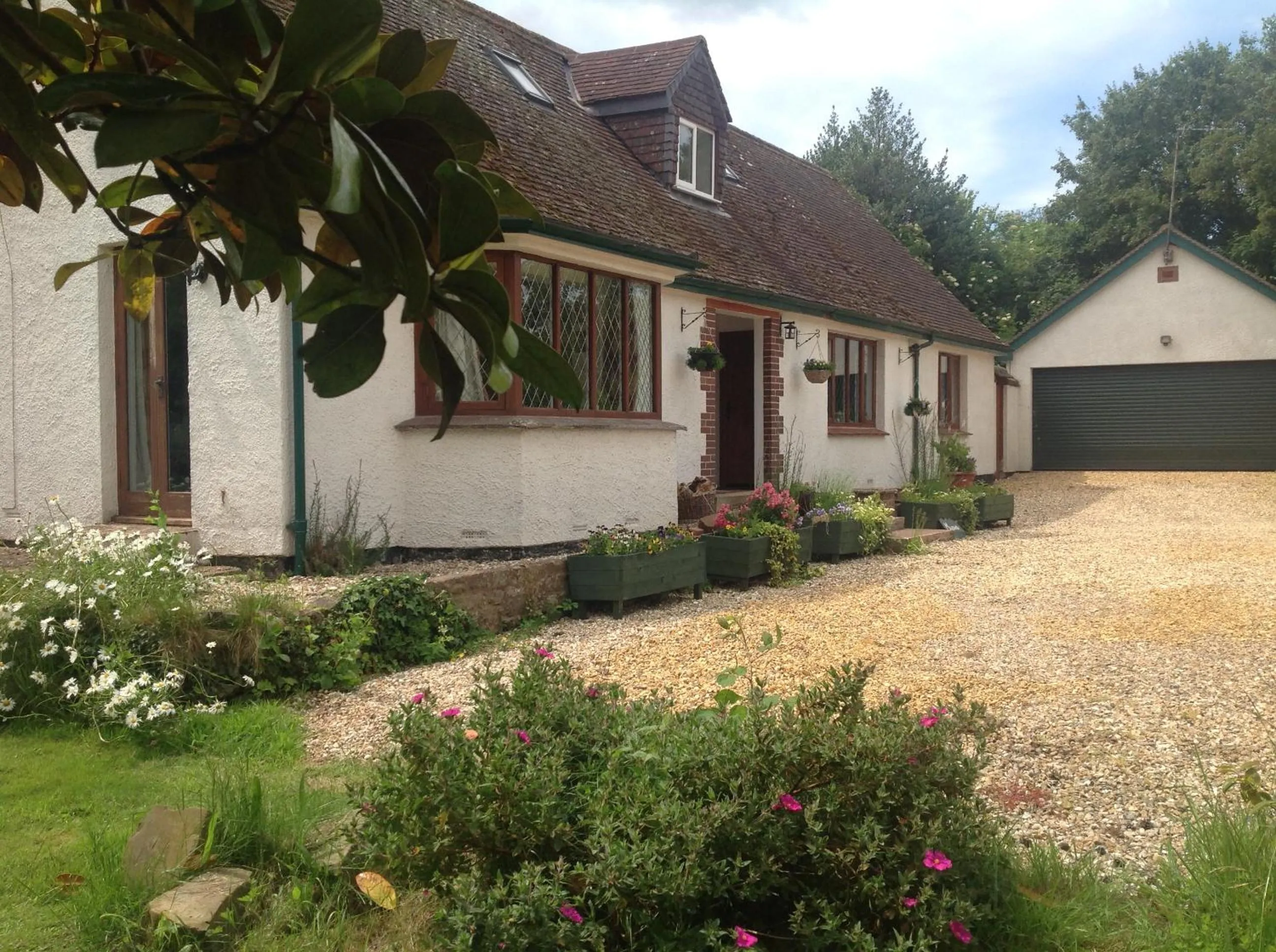 Property building in Meadowview