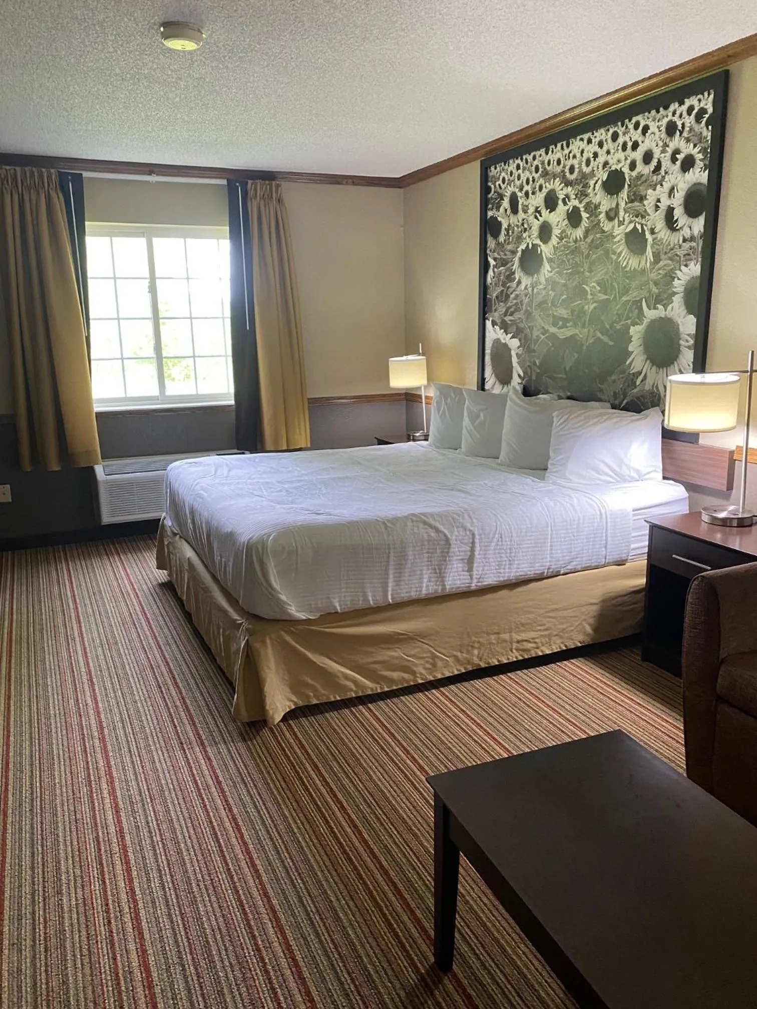 Guests, Bed in Super 8 by Wyndham New Hampton
