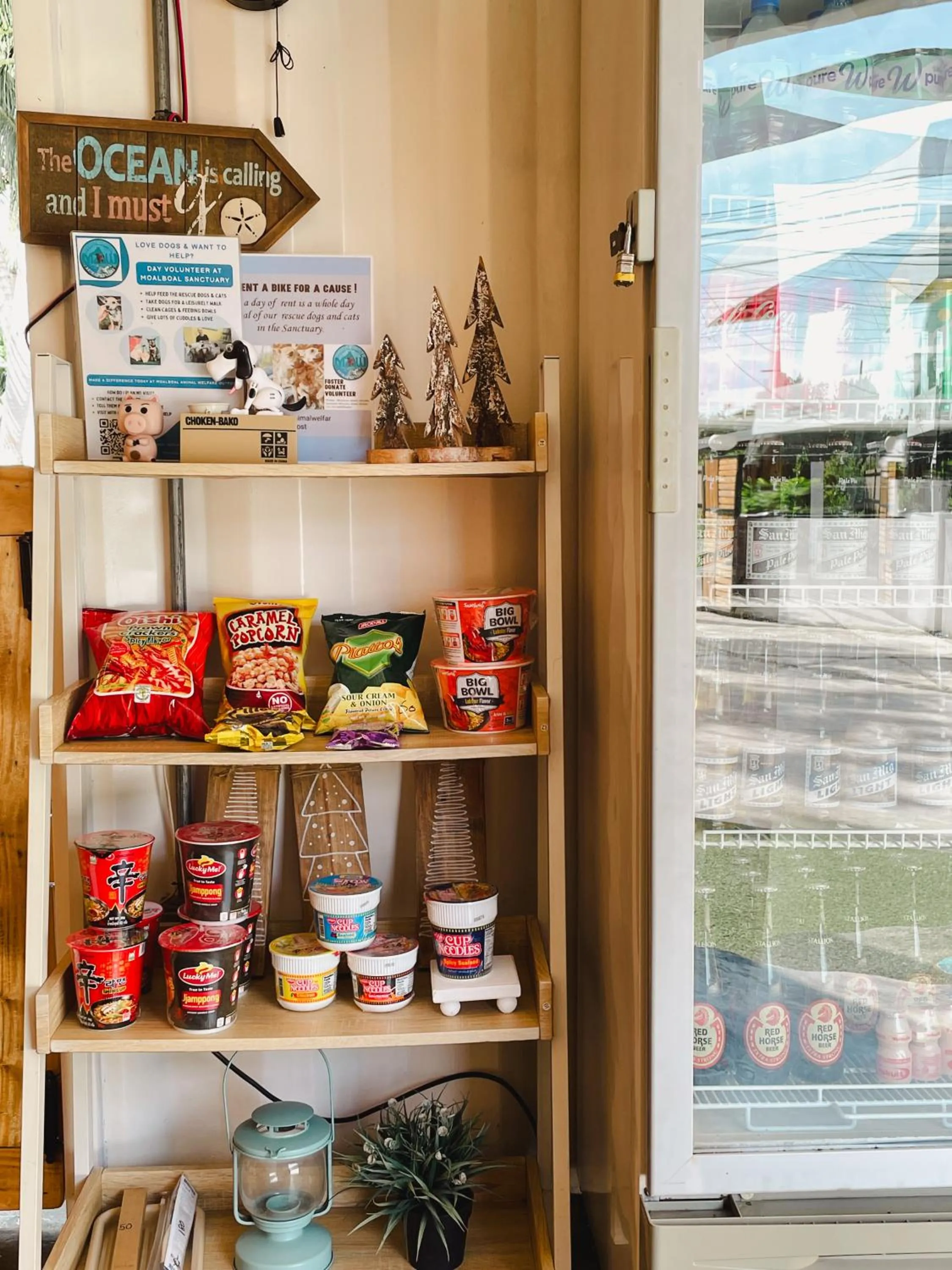 minibar in Pig Dive Hostel Moalboal