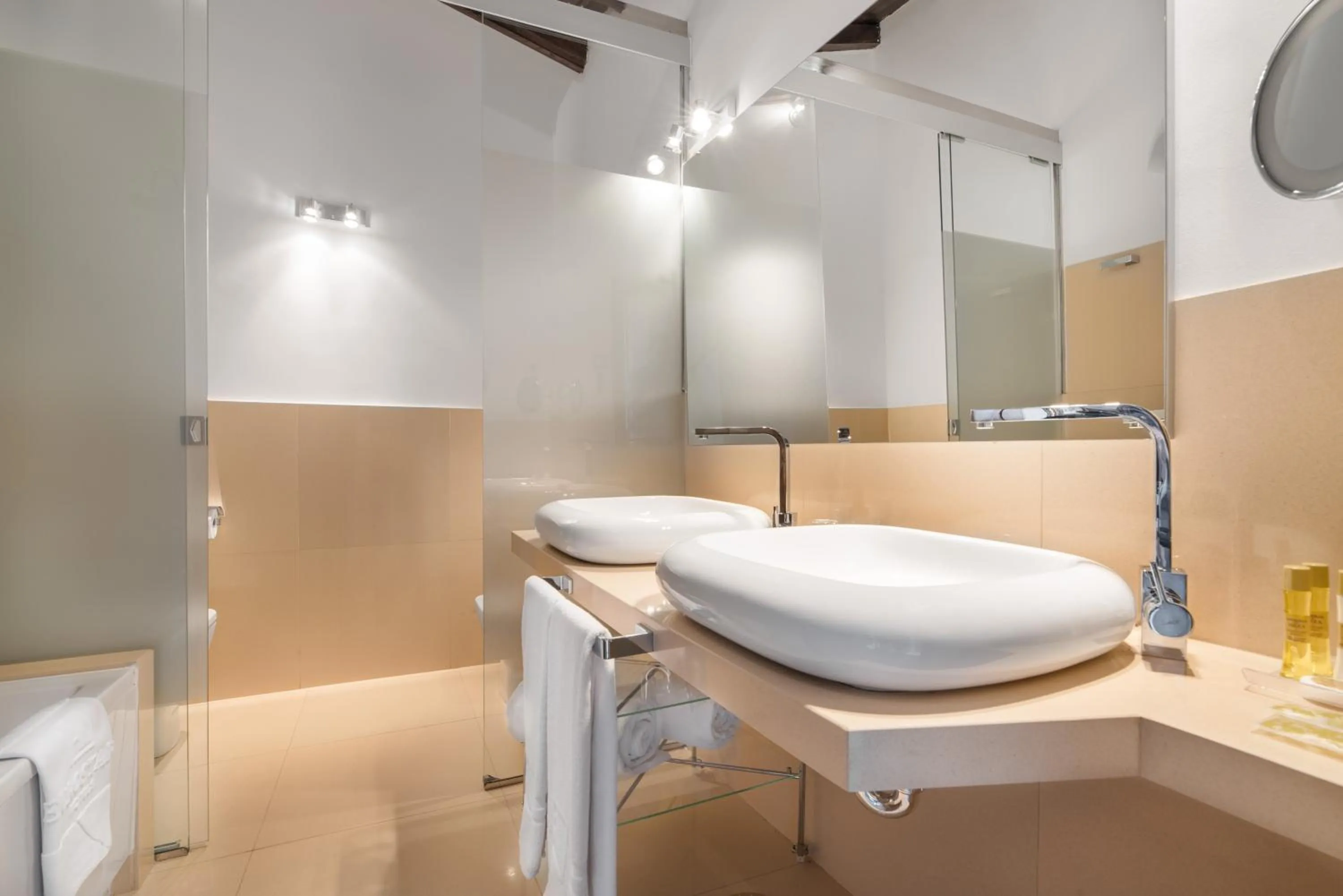 Shower in Áurea Palacio de Sober by Eurostars Hotel Company