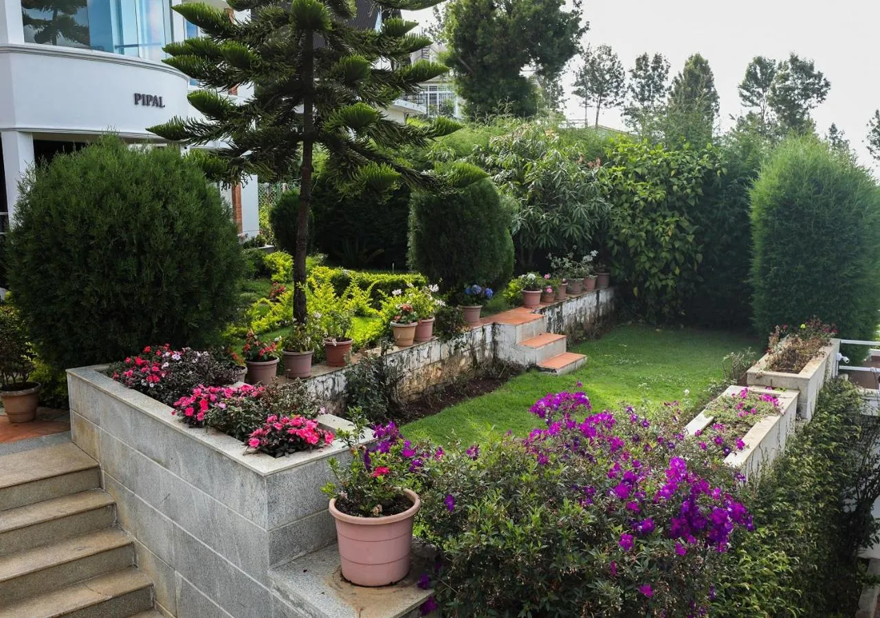 Garden view in Twin Tree
