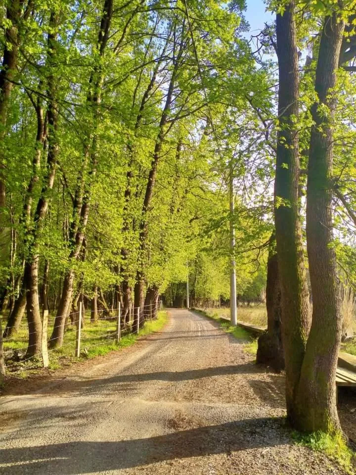 Spring in AdaHan Family Rooms Gocek